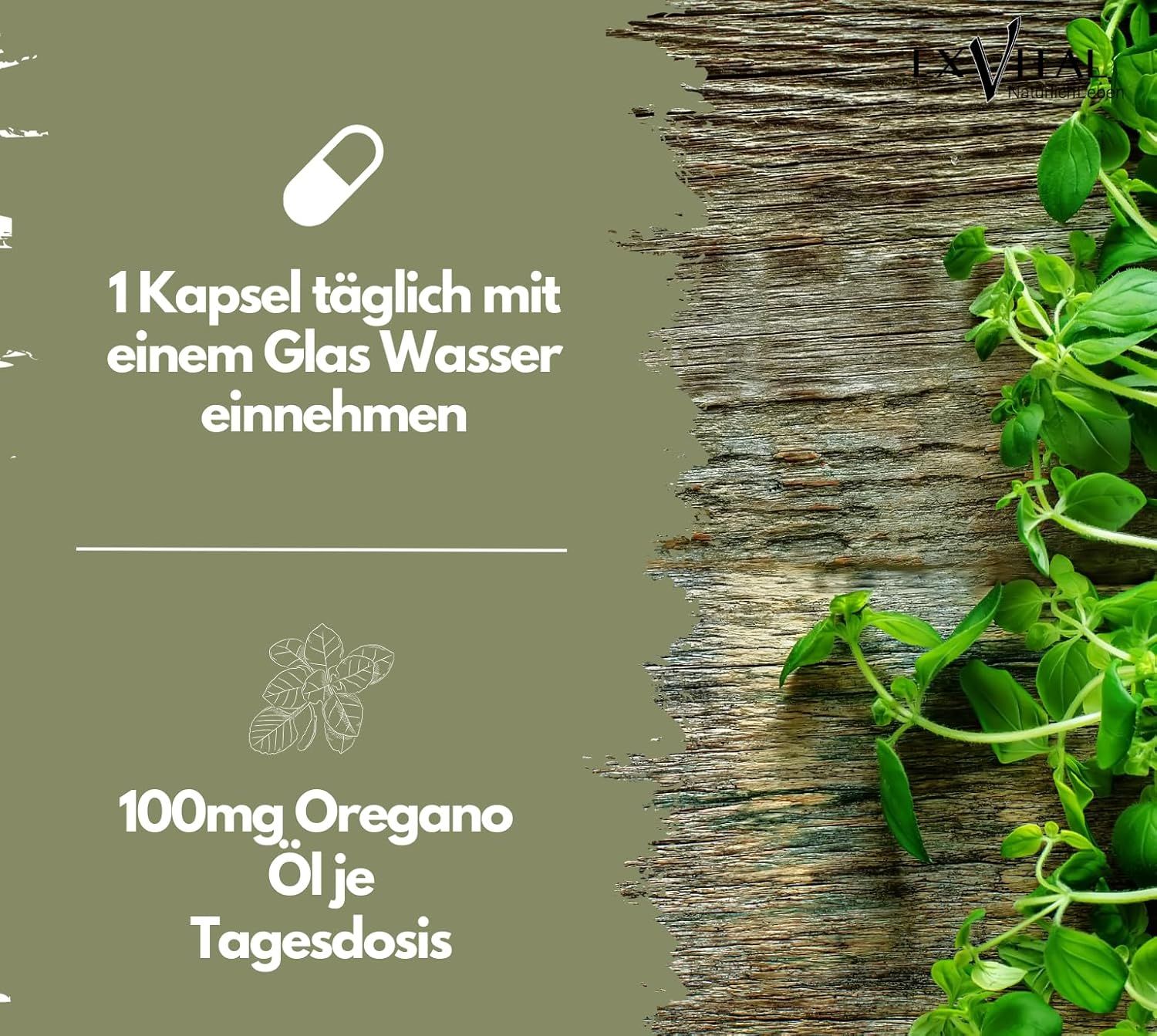 Grafik mit Kapsel-Symbol und Text: 1 Kapsel täglich mit einem Glas Wasser einnehmen. 100mg Oregano Öl je Tagesdosis.