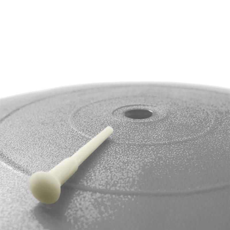 ScSPORTS® Gymnastikball mit Handpumpe grau