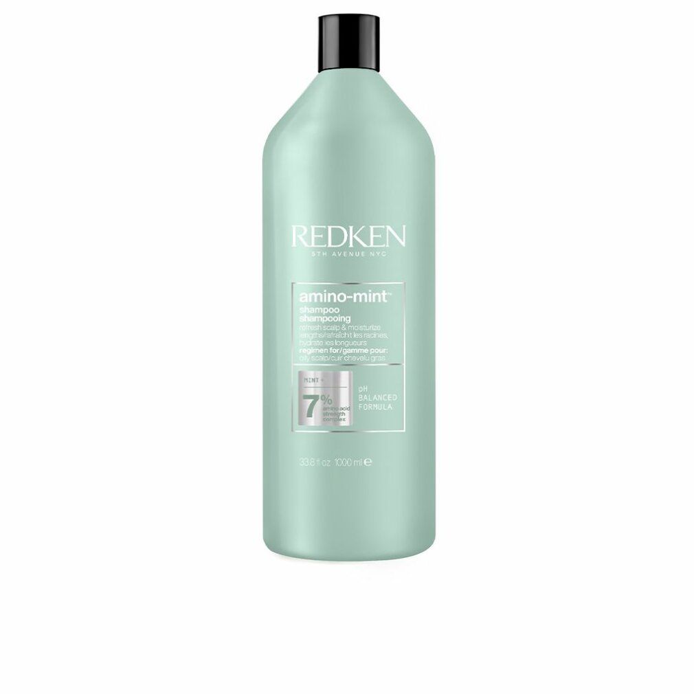 Shampoo Redken Amino Mint