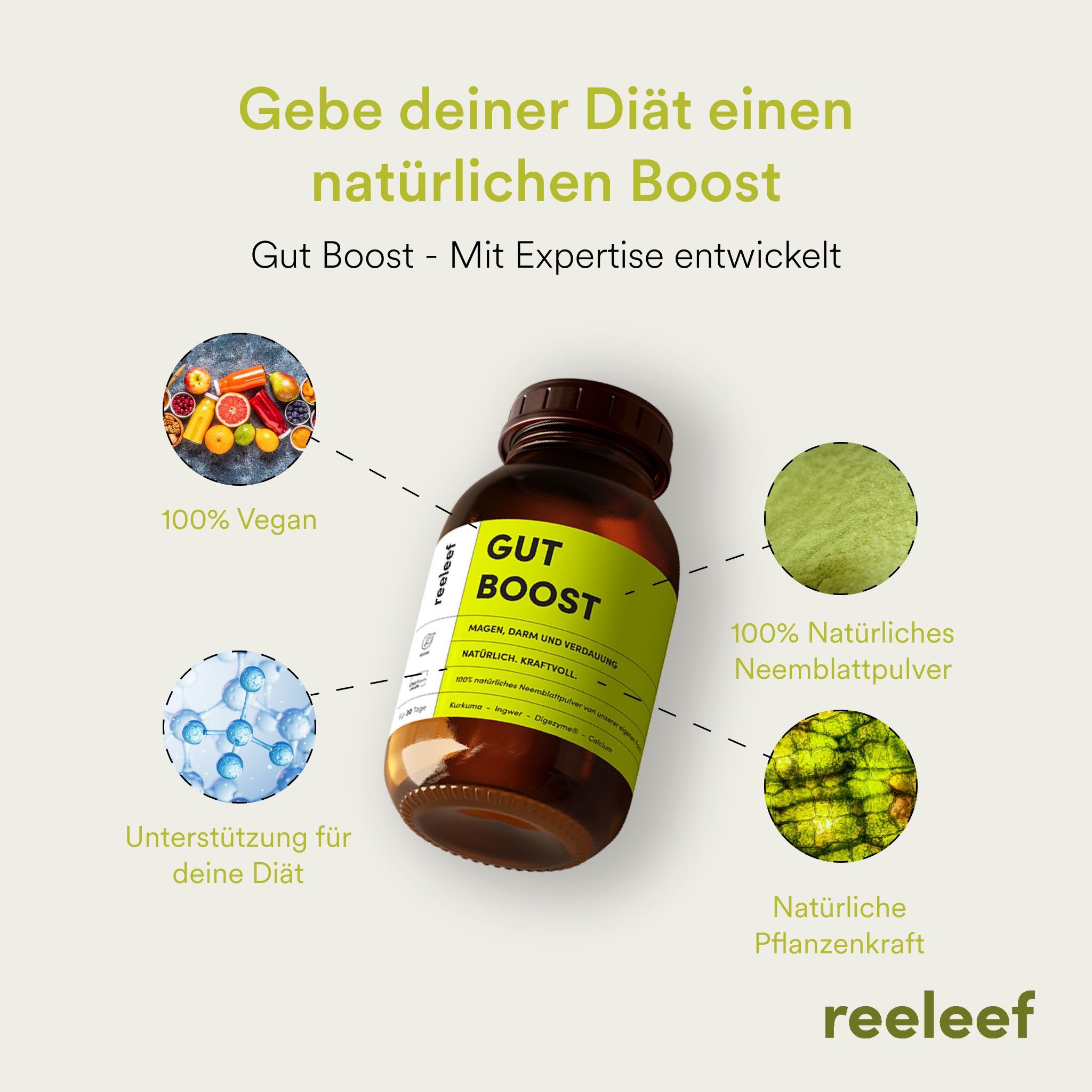 Braune Flasche mit gelbem Etikett. Text: GUT BOOST. Kreise mit Text und Illustrationen um die Flasche.