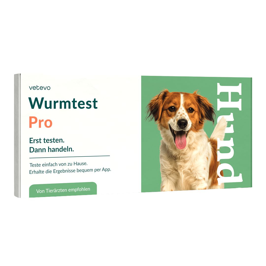 Produktverpackung mit Produktname und Hund. Text: Erst testen. Dann handeln. Von Tierärzten empfohlen.