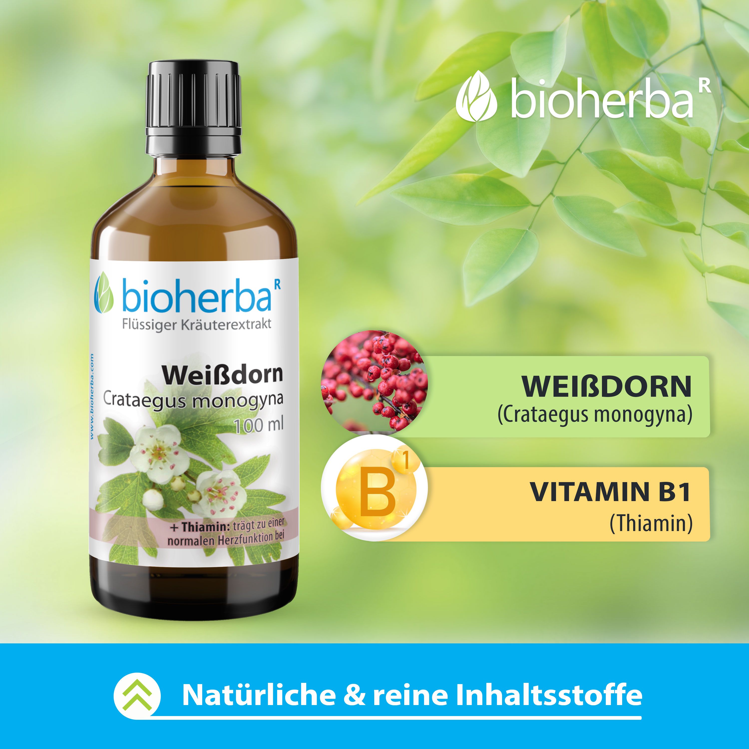 Bioherba Weissdorn Crataegus monogyna Tropfen Tinktur 100 ml