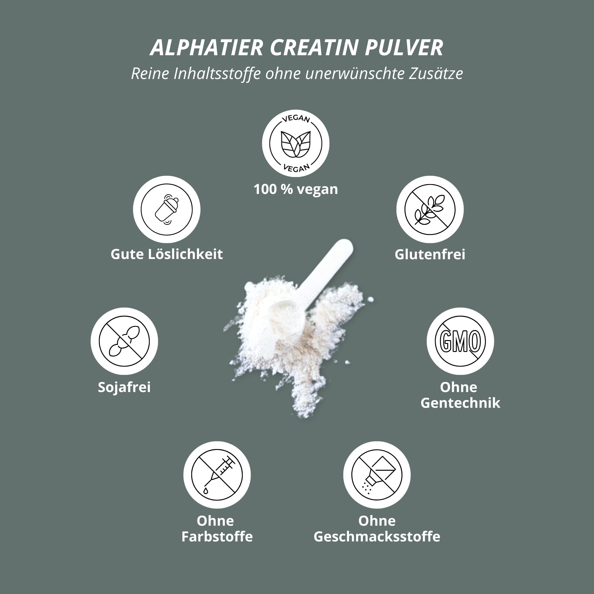 Kreisdiagramm mit Symbolen: Vegan, gute Löslichkeit, glutenfrei, ohne Gentechnik, ohne Geschmacksstoffe, ohne Farbstoffe, sojafrei. Pulver mit Löffel.