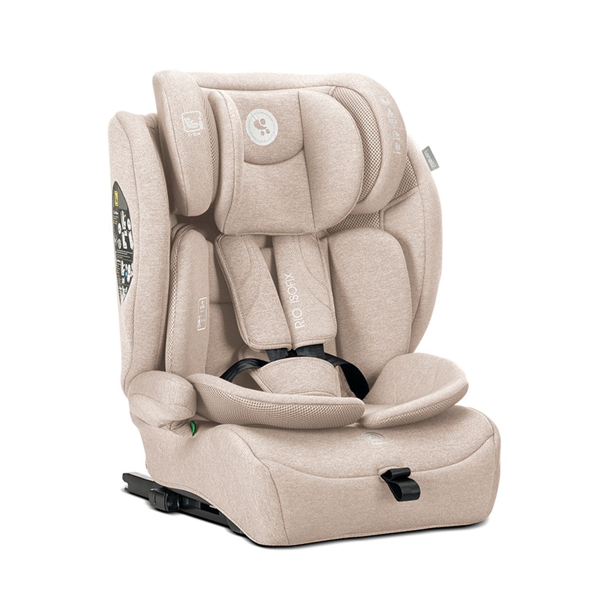 Lorelli Kindersitz Rio Isofix (76-150cm) 1 St