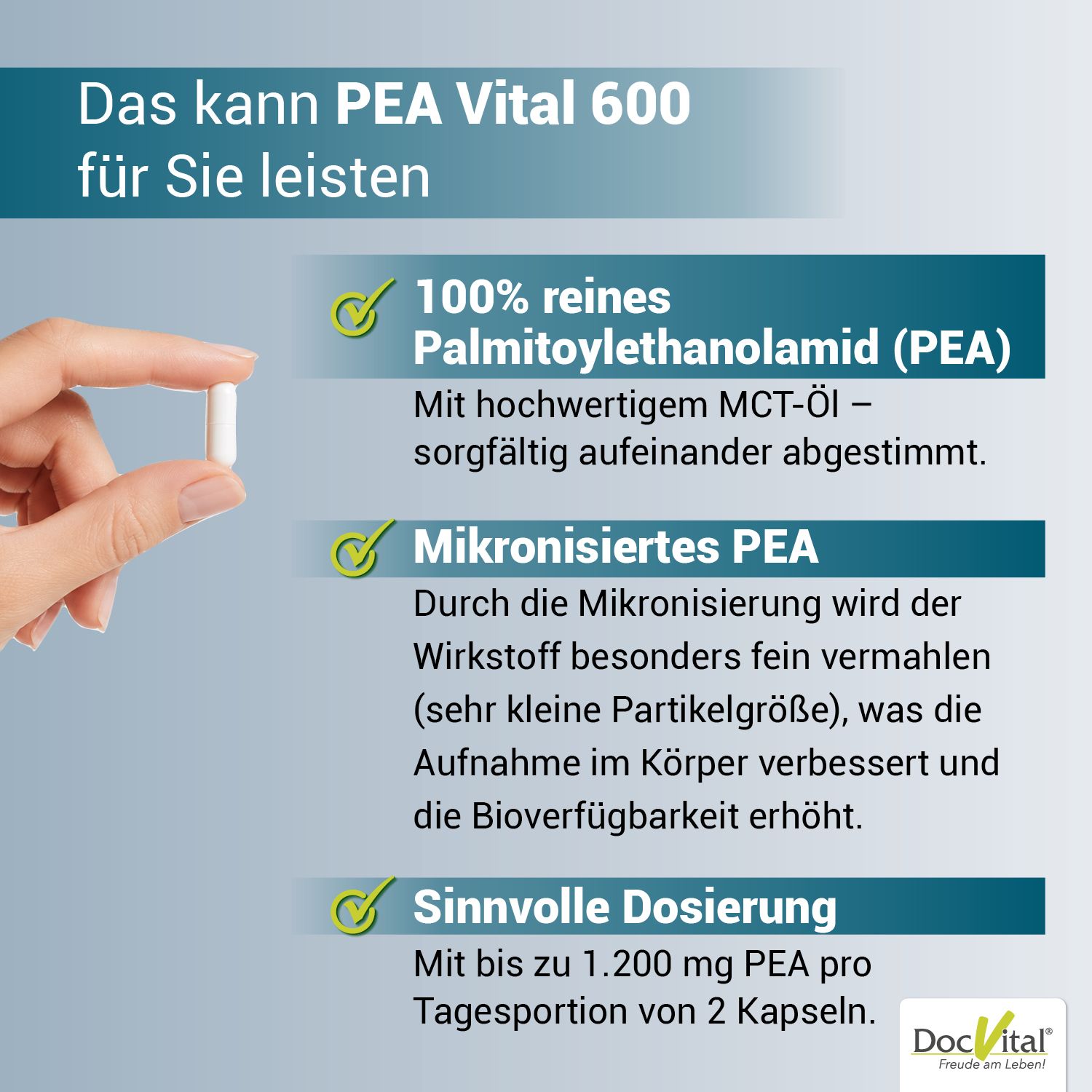 Eine Hand hält eine einzelne mikronisierte PEA-Kapsel, neben Text über reine Palmitoylethanolamid-Inhaltsstoffe.