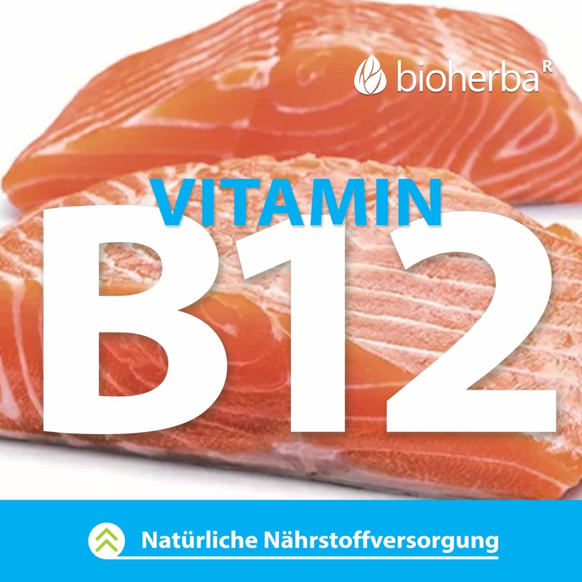Zwei Lachsstücke mit blauem Text: Vitamin B12. Marke: Bioherba. Text: Natürliche Nährstoffversorgung.