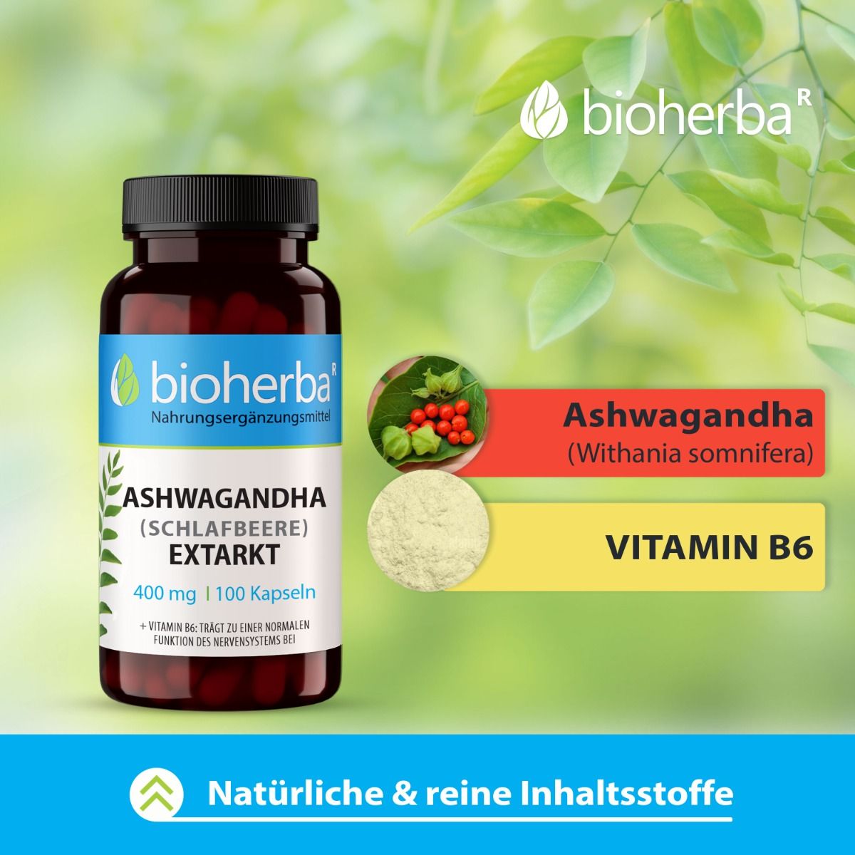 Ashwagandha Extrakt (Schlafbeere) 400 mg 100 Kapseln  PZN 19554971