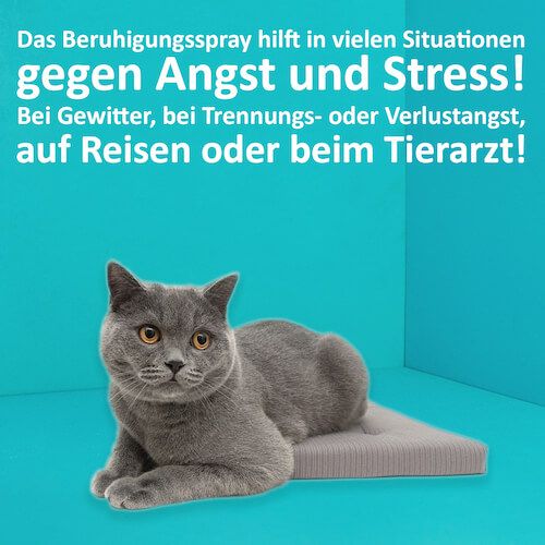 GreenHero Entspannungsspray für Katzen