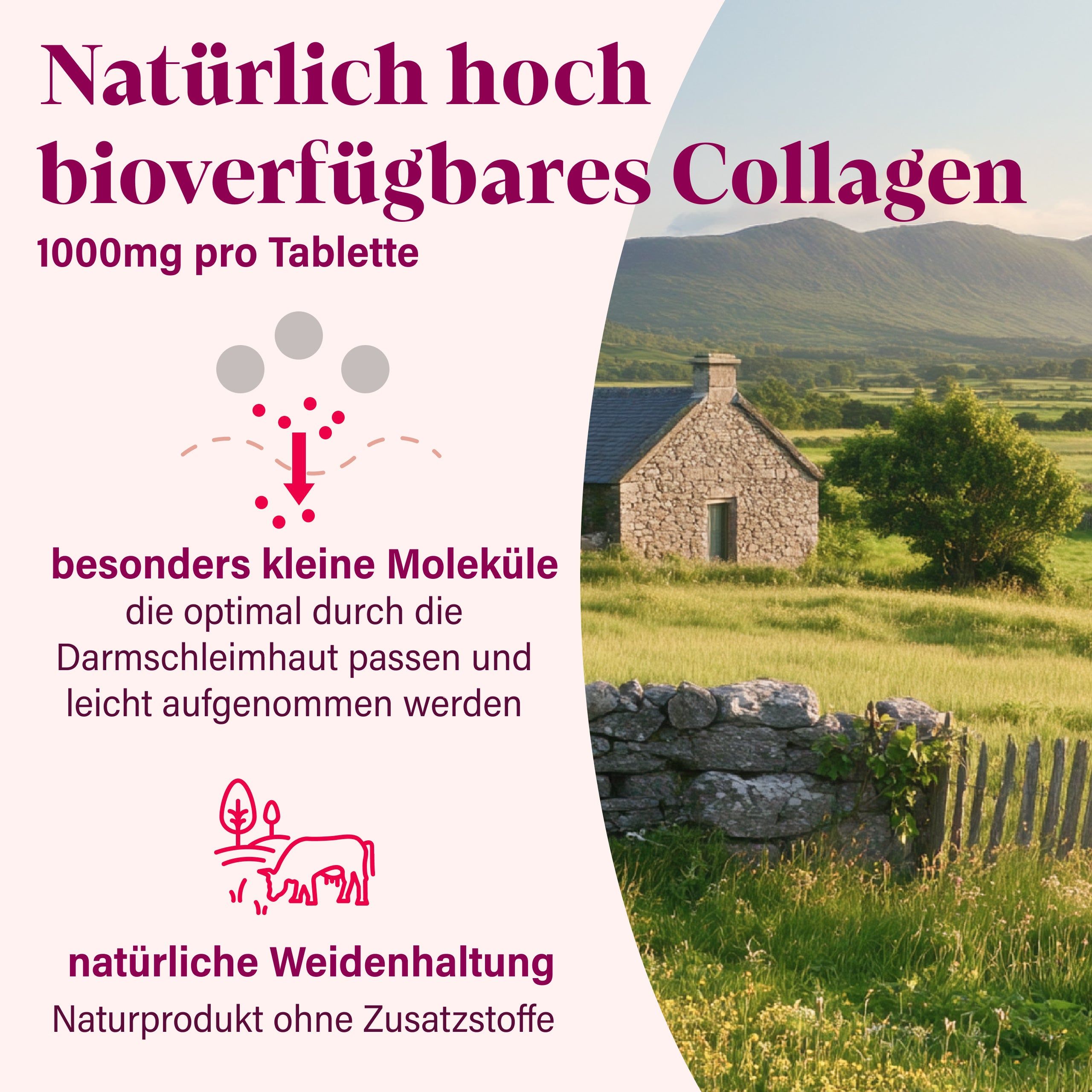 Collagen Tabletten - von NovaNature®