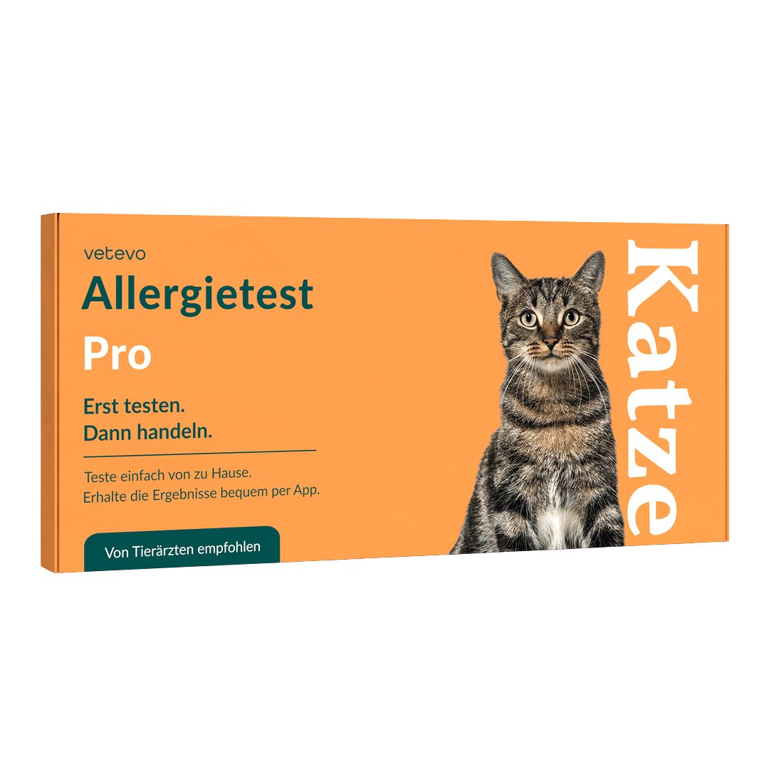 Orangefarbene Produktverpackung mit Katze. Text: Vetevo Allergietest Pro. Erst testen. Dann handeln. Von Tierärzten empfohlen.