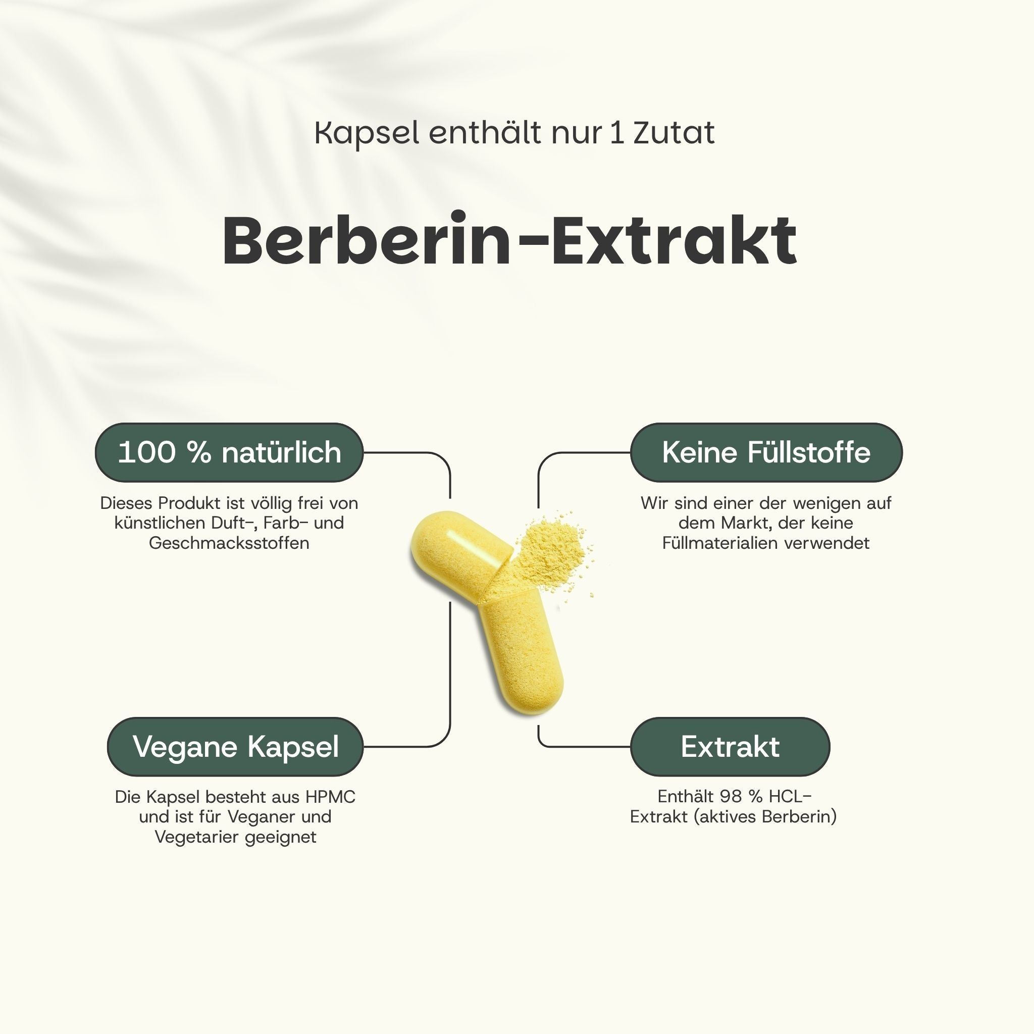 Grafik mit Informationen zu Berberin-Extrakt. Gelbe Kapsel, Text: 100% natürlich, keine Füllstoffe, vegane Kapsel.