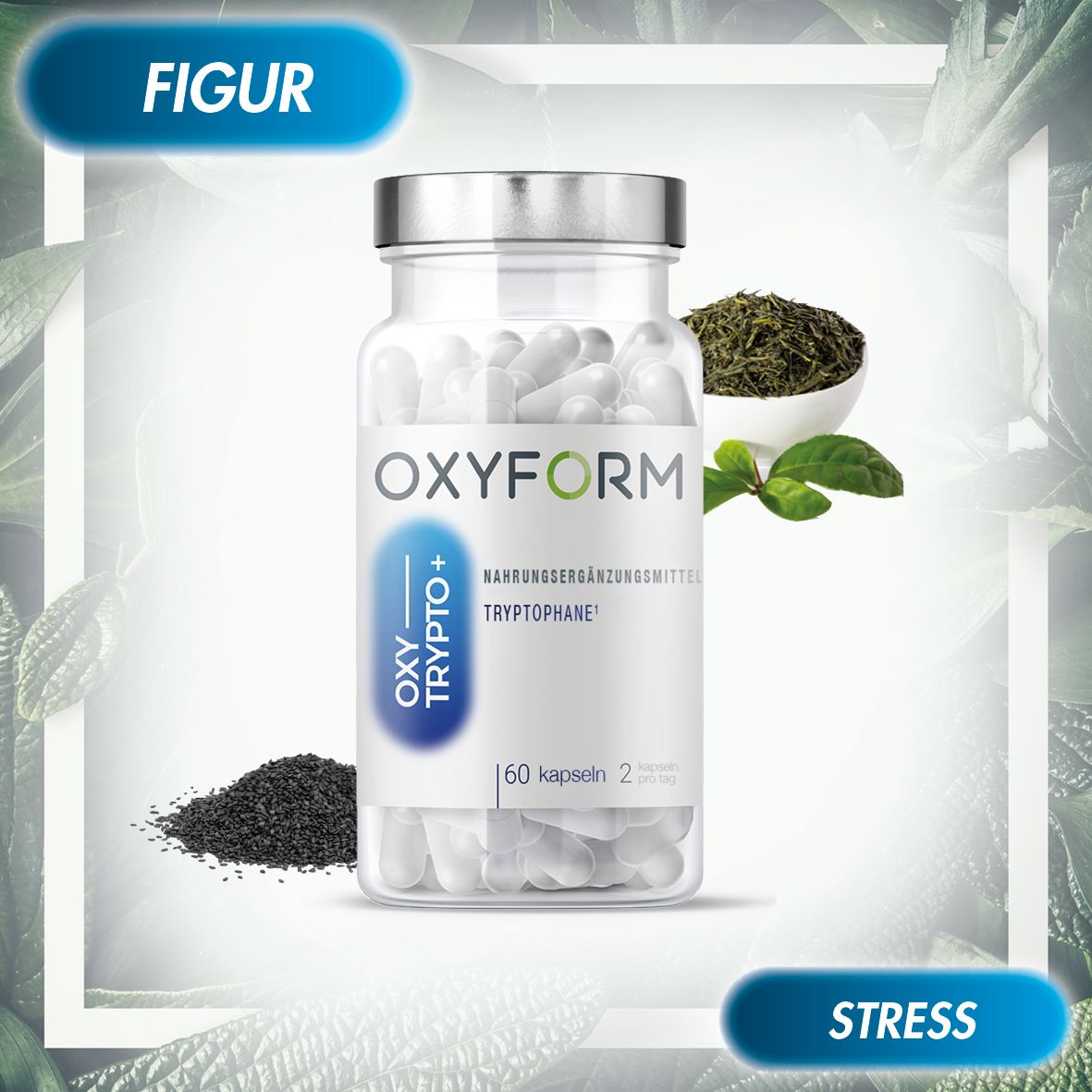 Glasflasche mit Kapseln, daneben Kräuter und Samen. Aufschrift: OXYFORM, OXY-TRYPTO+, Nahrungsergänzungsmittel, 60 Kapseln.