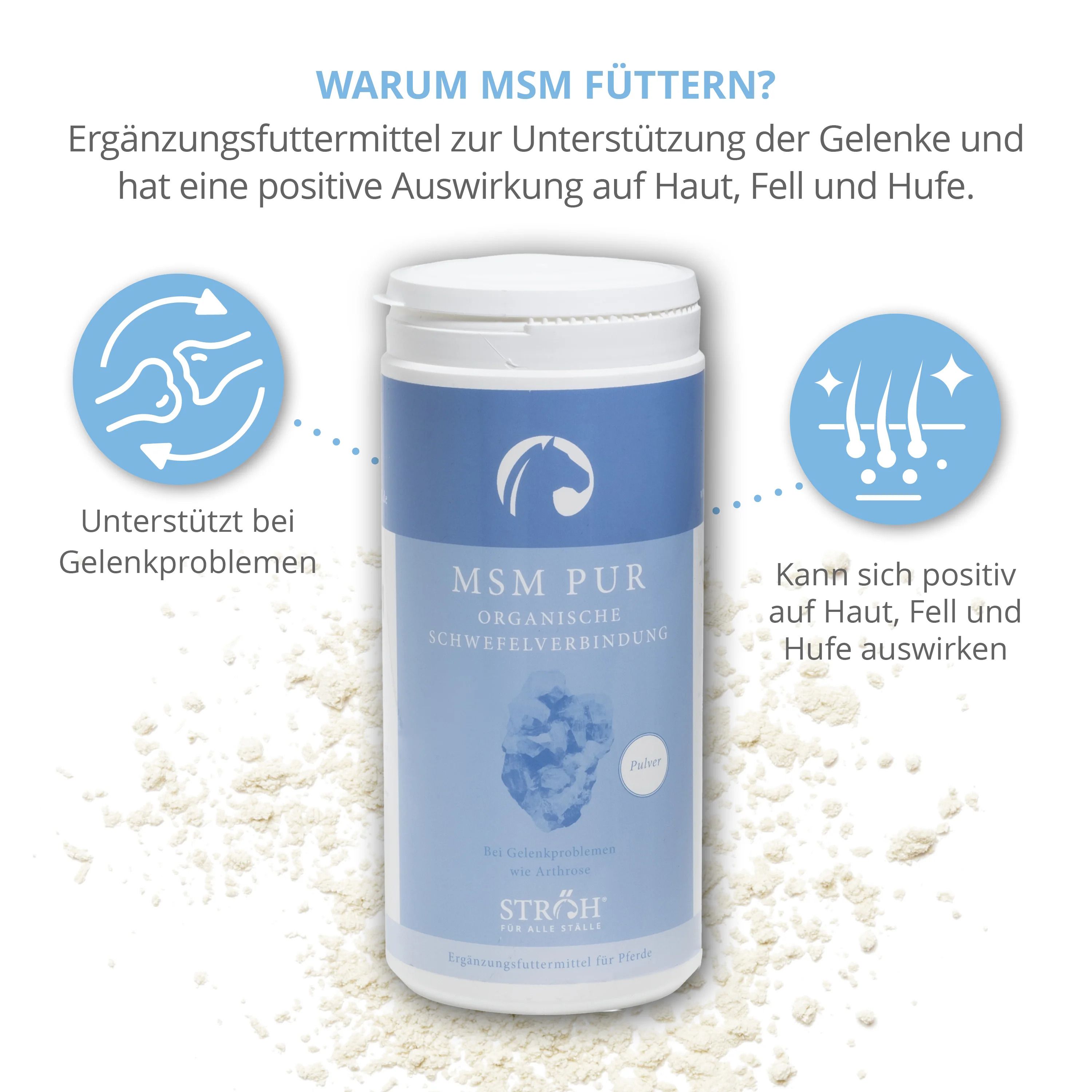 Weiße Dose mit blauem Deckel. Text: MSM PUR, organische Schwefelverbindung. Marke STRÖH. Pulver daneben.