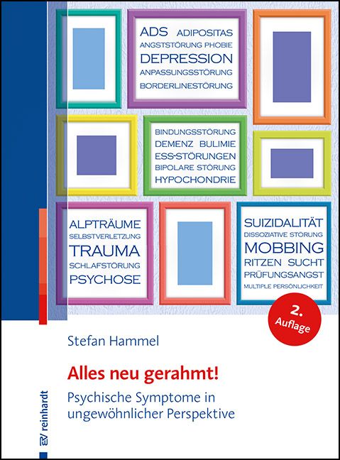 Buchcover: "Alles neu gerahmt!" von Stefan Hammel. Titel und Untertitel in deutscher Sprache. Auf dem Cover sind verschiedene Begriffe in Rahmen dargestellt.