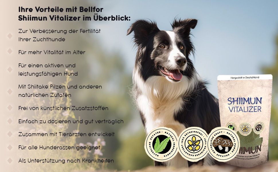 Bellfor Nahrungsergänzung für Hunde mit Shiitake - Shiimun Vitalizer Pulver