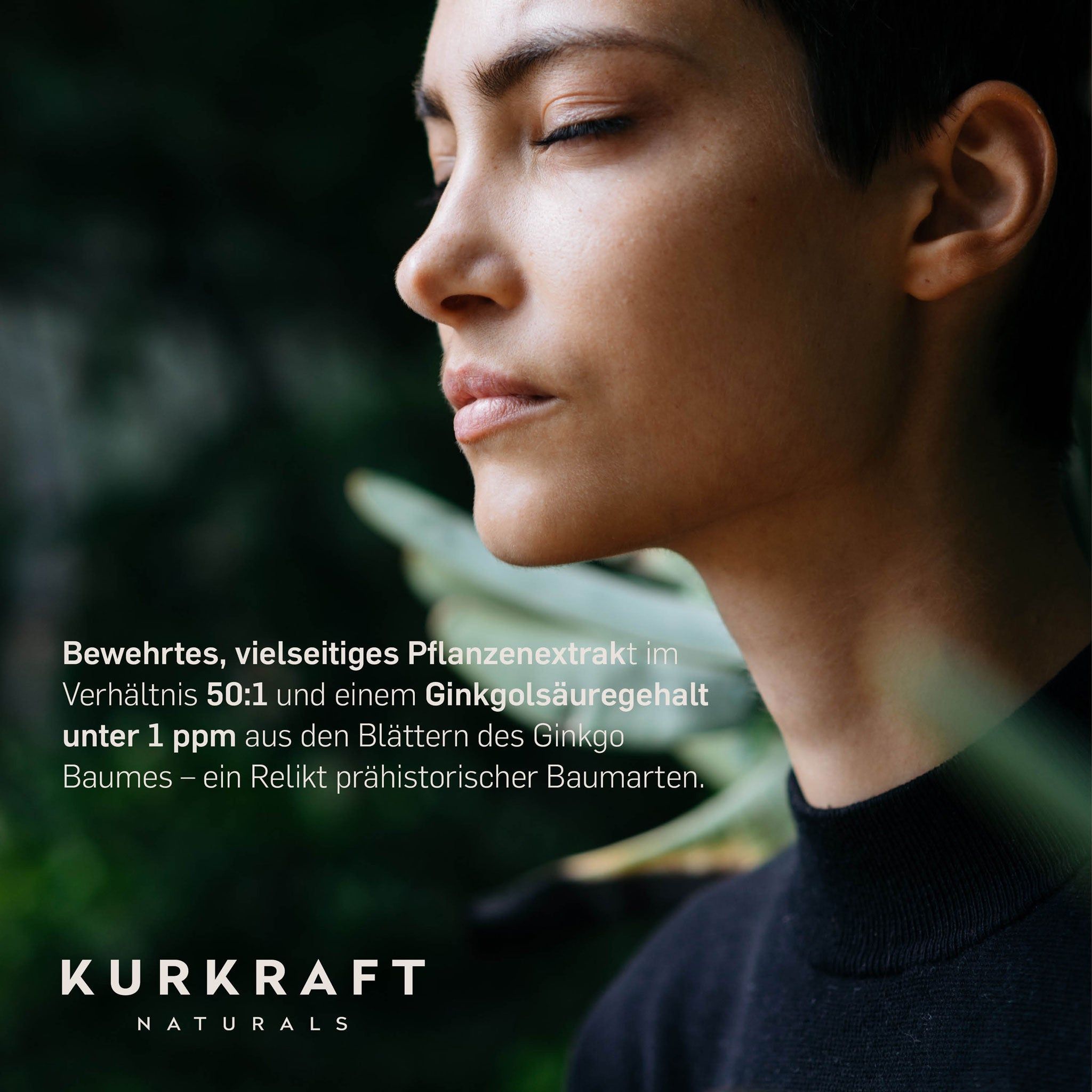 Kurkraft© Ginkgo Biloba 365 St Kapseln