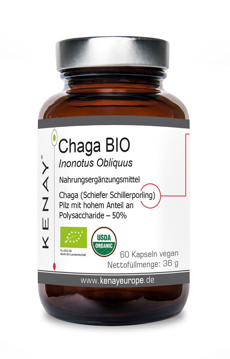 Braune Glasflasche mit Kapseln. Etikett mit "Chaga BIO", "KENAY", USDA Organic-Siegel und Inhaltsangaben.