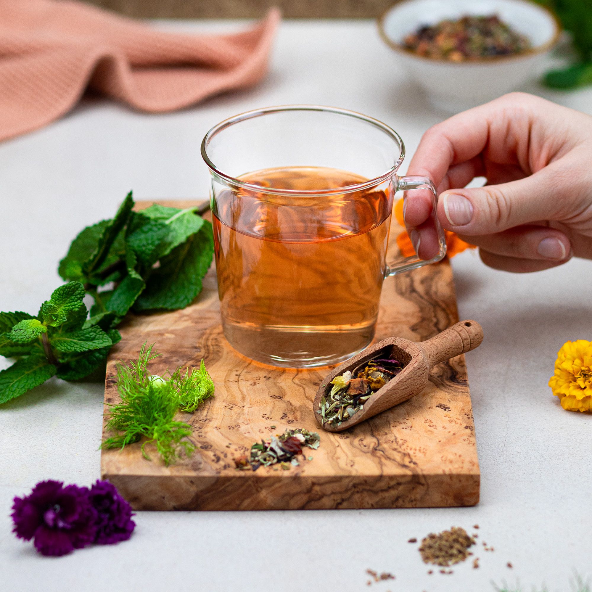 Glasbecher mit Tee, auf Holzbrett. Hand hält Becher. Kräuter, Holzlöffel mit Tee, Minze, Fenchel, Blüten.