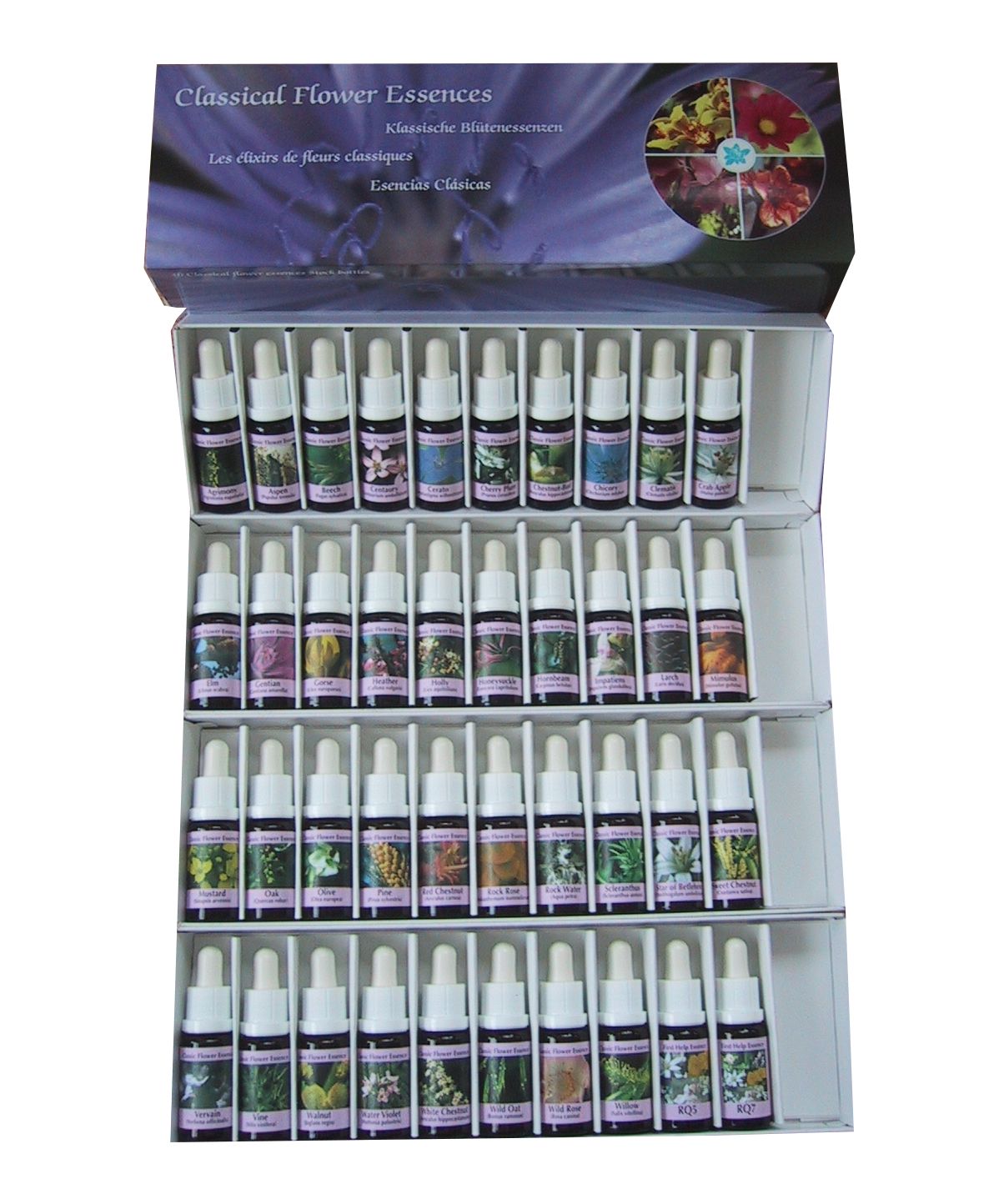 PHI Essences Bachblüten Komplett Set