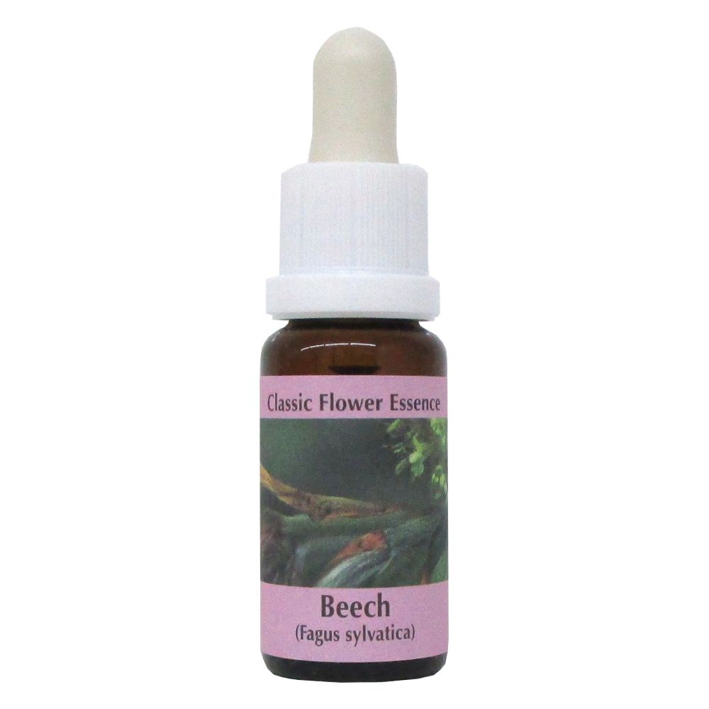 PHI Essences - Beech Bachblüte Nr. 3