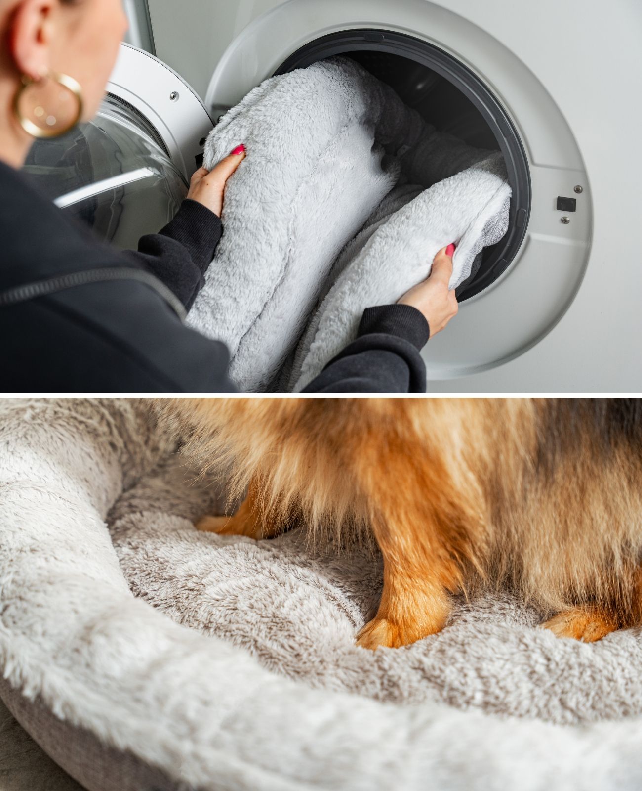 lionto Rundes Hundebett - Donutbed