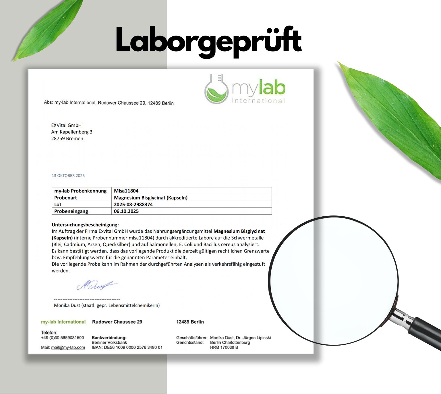 Laborbericht von mylab international. Text: Magnesium Bisglycinat (Kapseln). Untersucht auf Reinheit und Qualität.