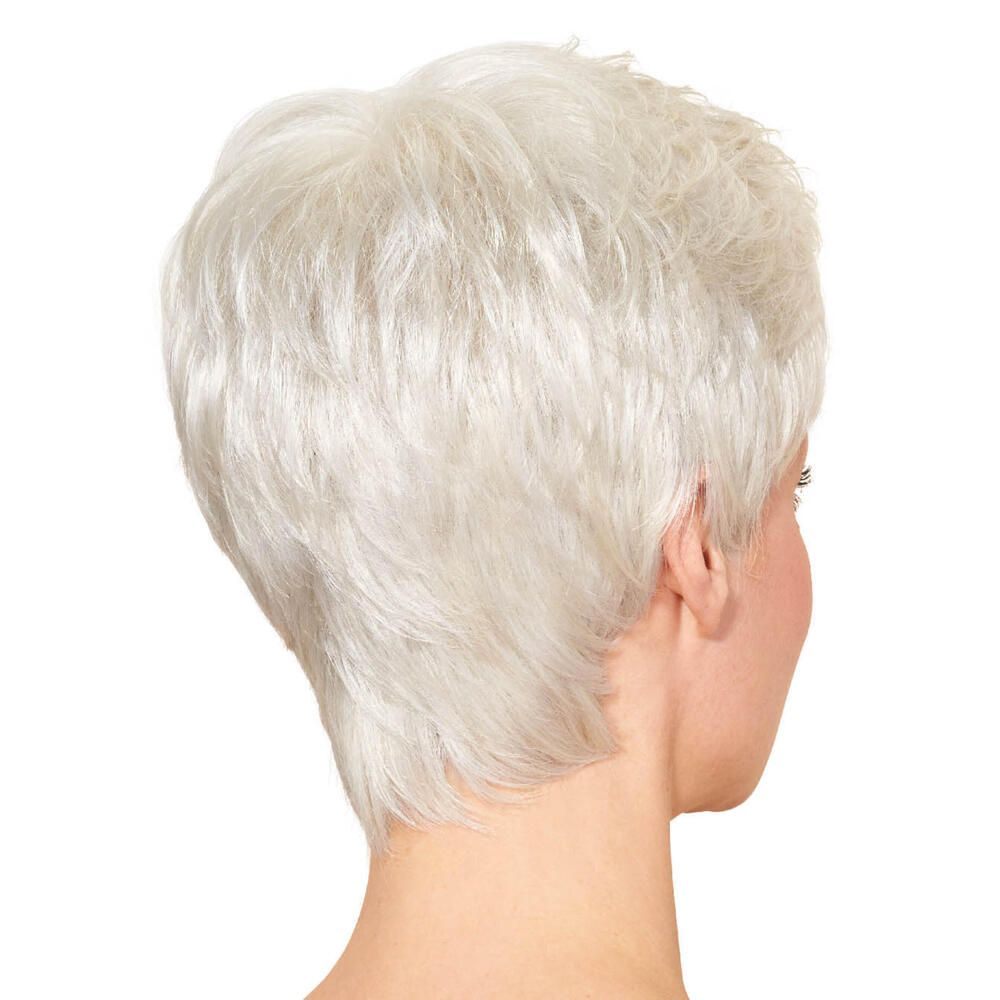 Silberne Kurzhaarperücke, Rückansicht.