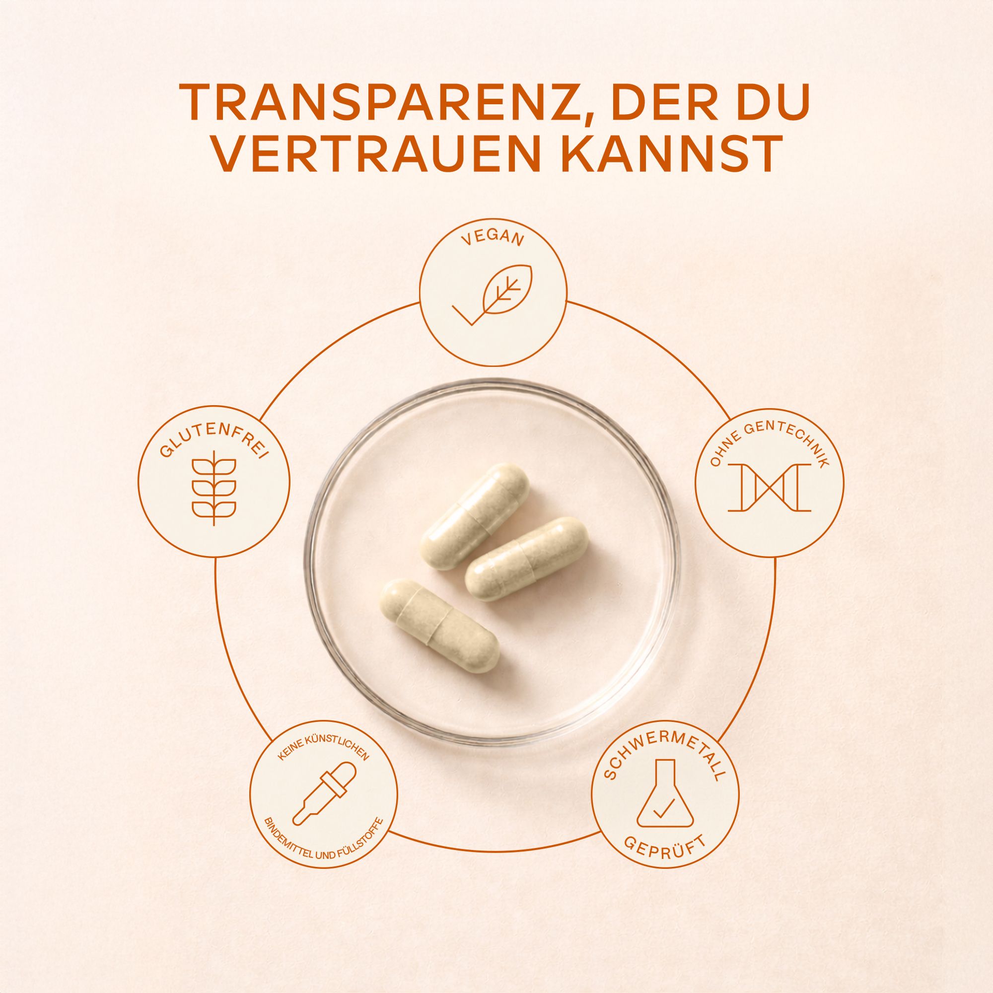 Drei Kapseln auf einem Teller. Symbole für vegan, glutenfrei, ohne Gentechnik, ohne Schwermetalle.