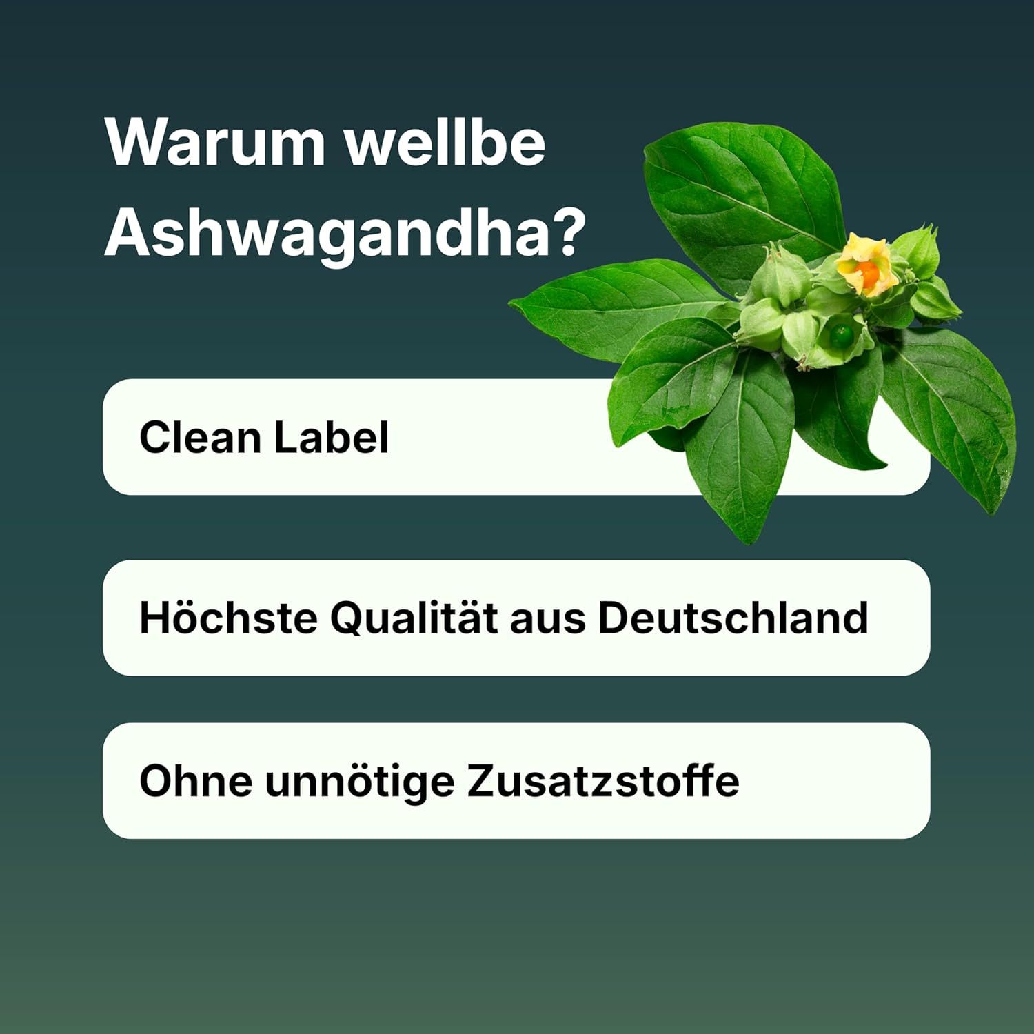 wellbe Ashwagandha KSM-66® – Mit Magnesium, Zink & Vitamin B6