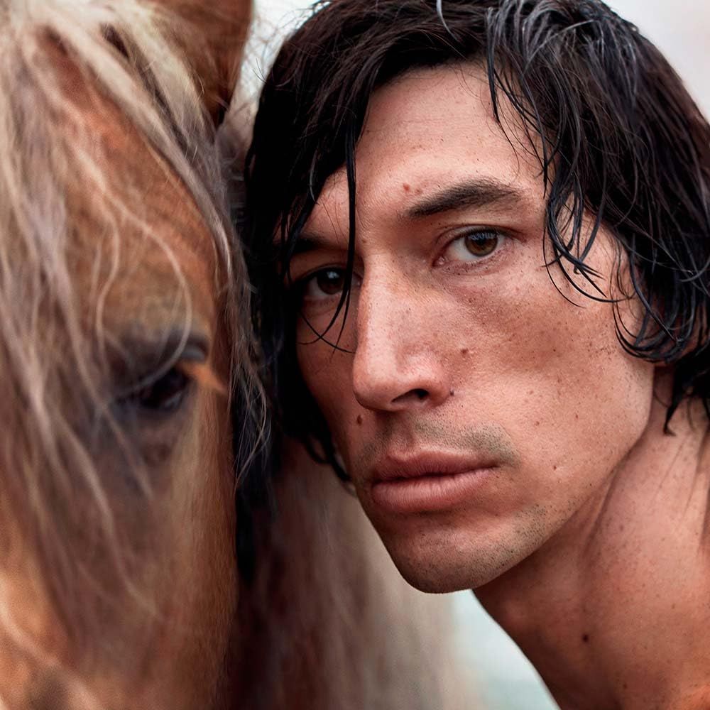Porträt eines Mannes mit Pferd. Mann mit dunklen Haaren, Pferd mit heller Mähne.
