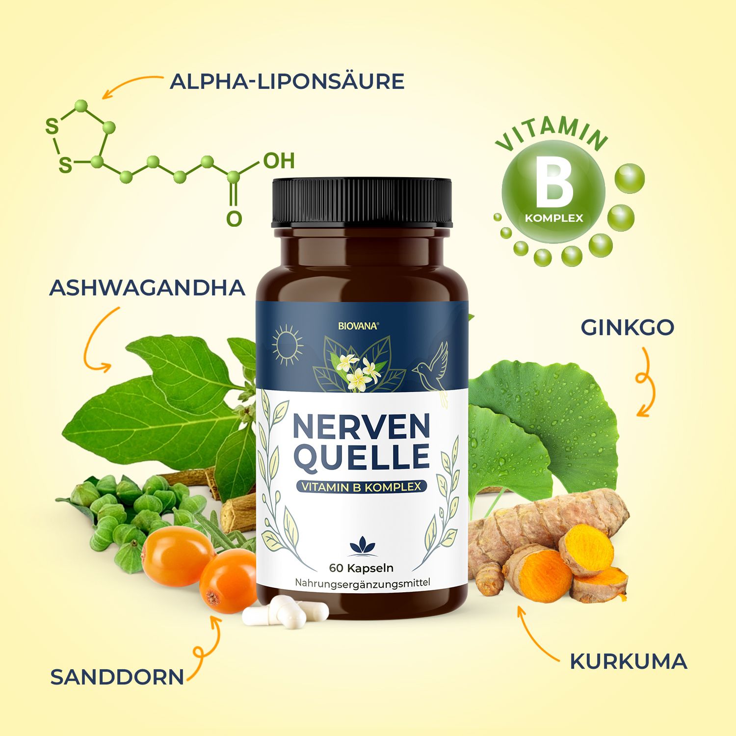 Nervenquelle Vitamin B Komplex