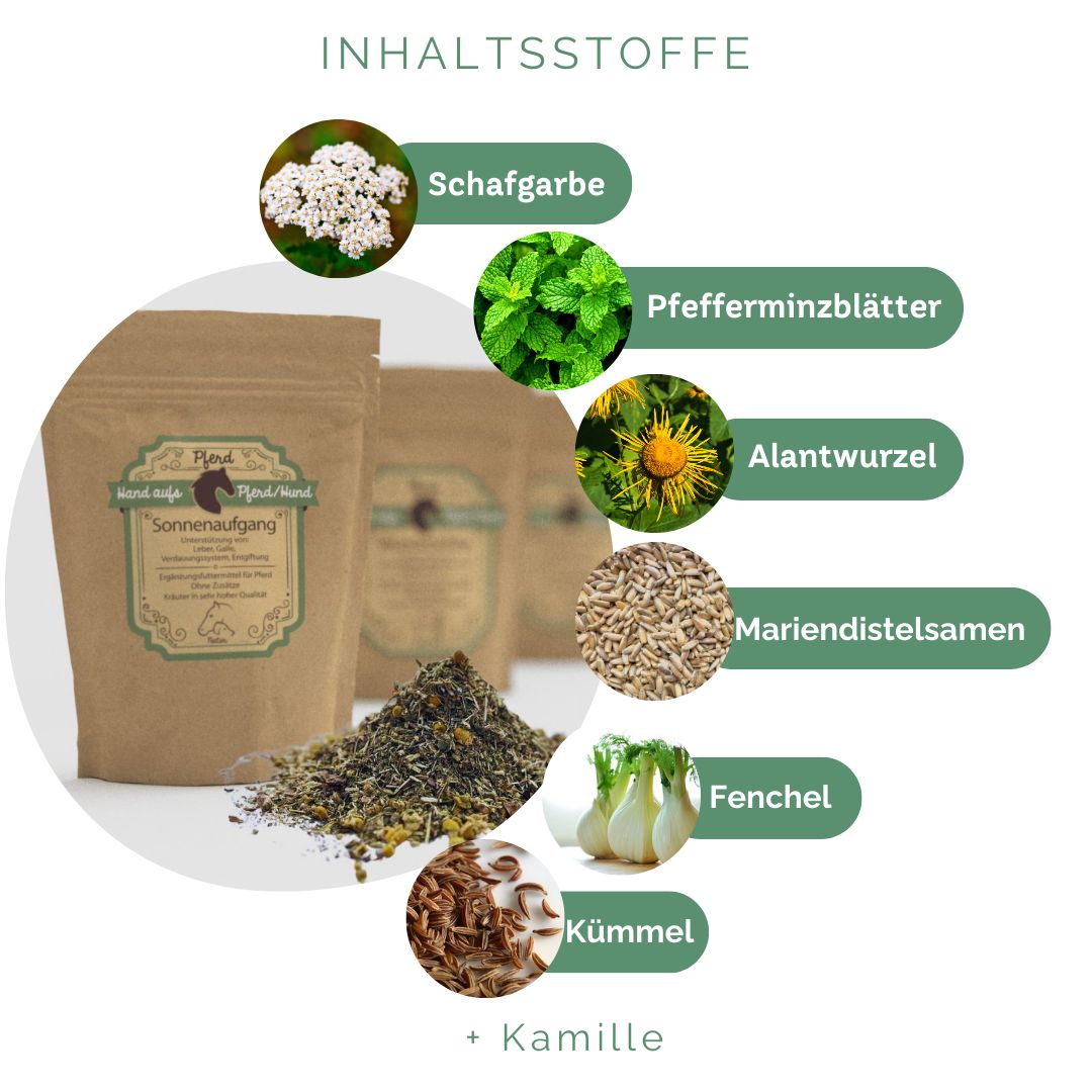 Beutel "Hand aufs Pferd/Hund Sonnenaufgang" neben Kräutern. Grafische Darstellung der Inhaltsstoffe: Schafgarbe, Pfefferminzblätter, etc.