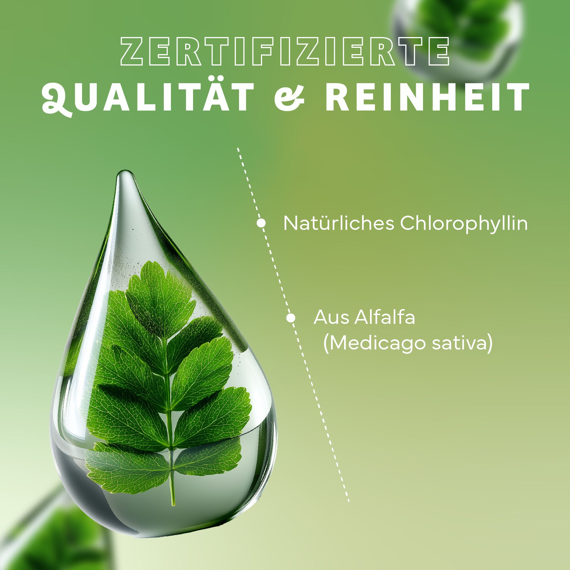 Echt Vital Chlorophyll