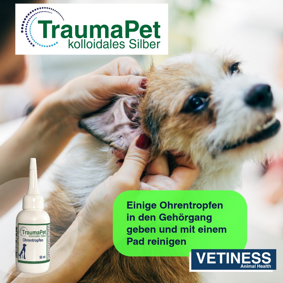 Traumapet Ohrentropfen für Hunde und Katzen