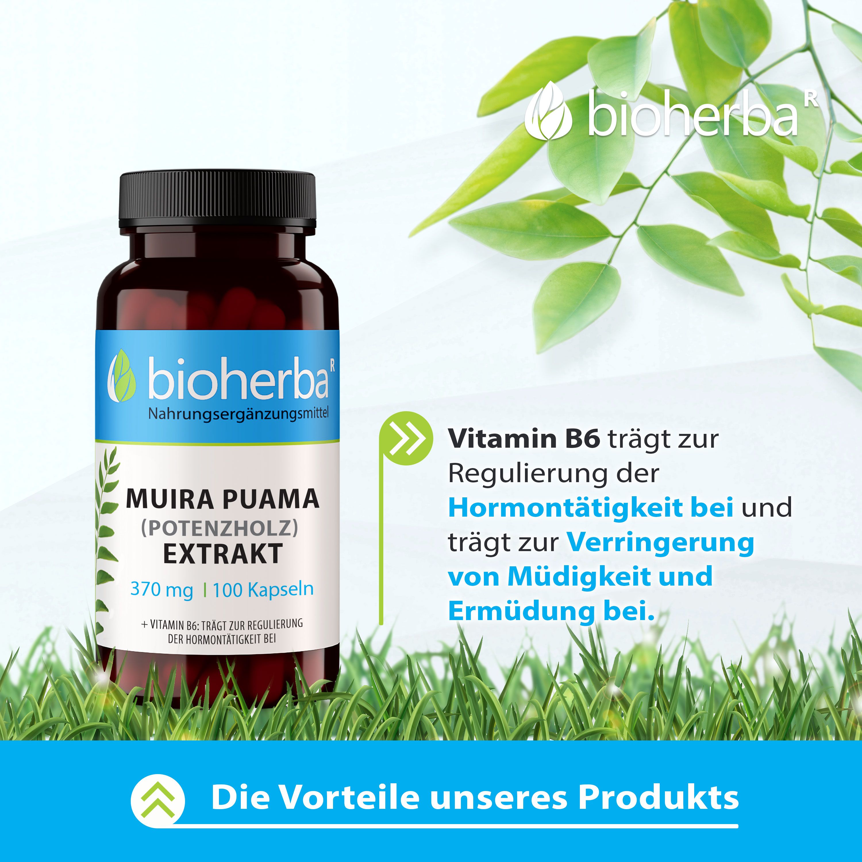 Bioherba Muira Puama (Potenzholz) Extrakt Kapseln