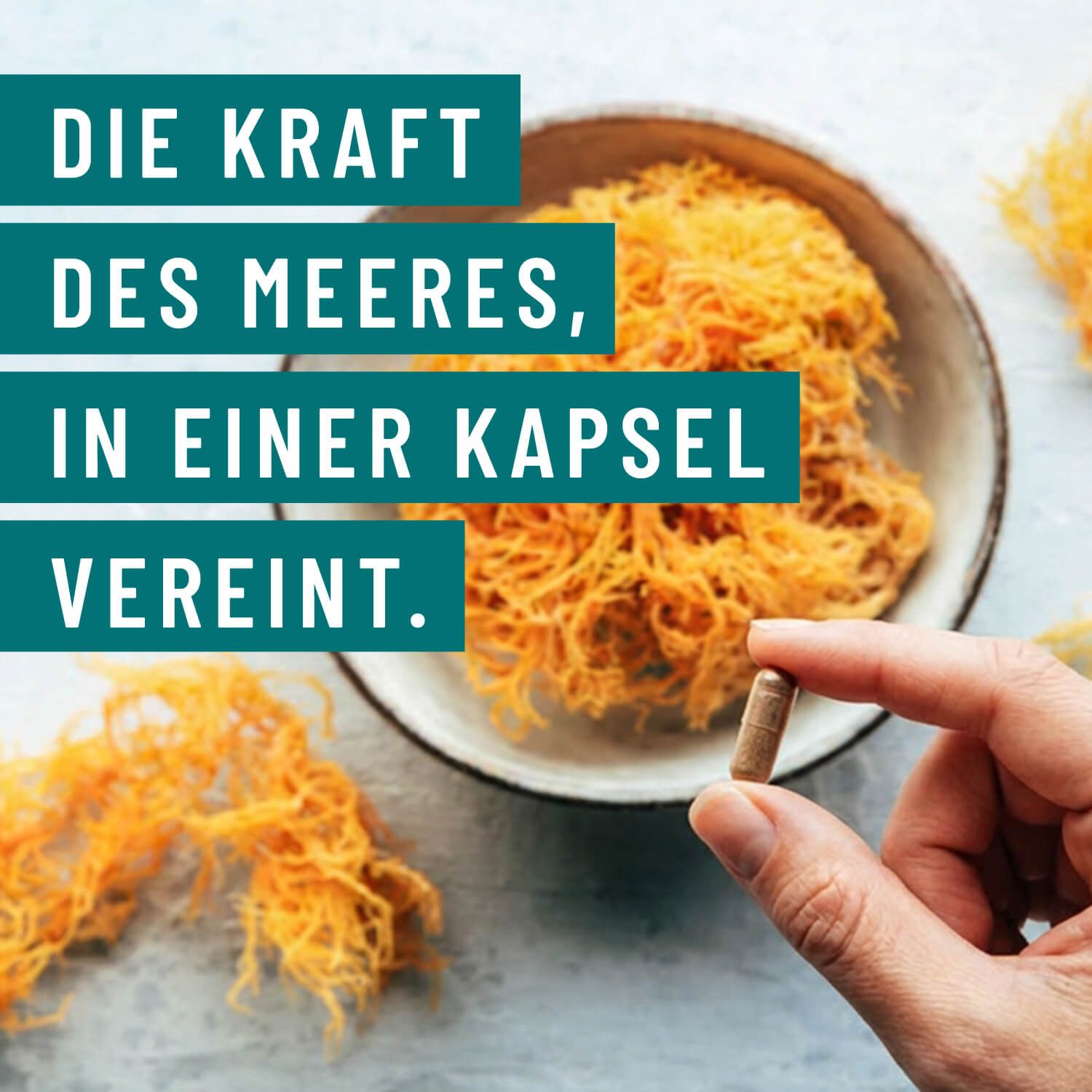 Hand hält Kapsel über einer Schale mit Seemoos. Text: Die Kraft des Meeres, in einer Kapsel vereint.