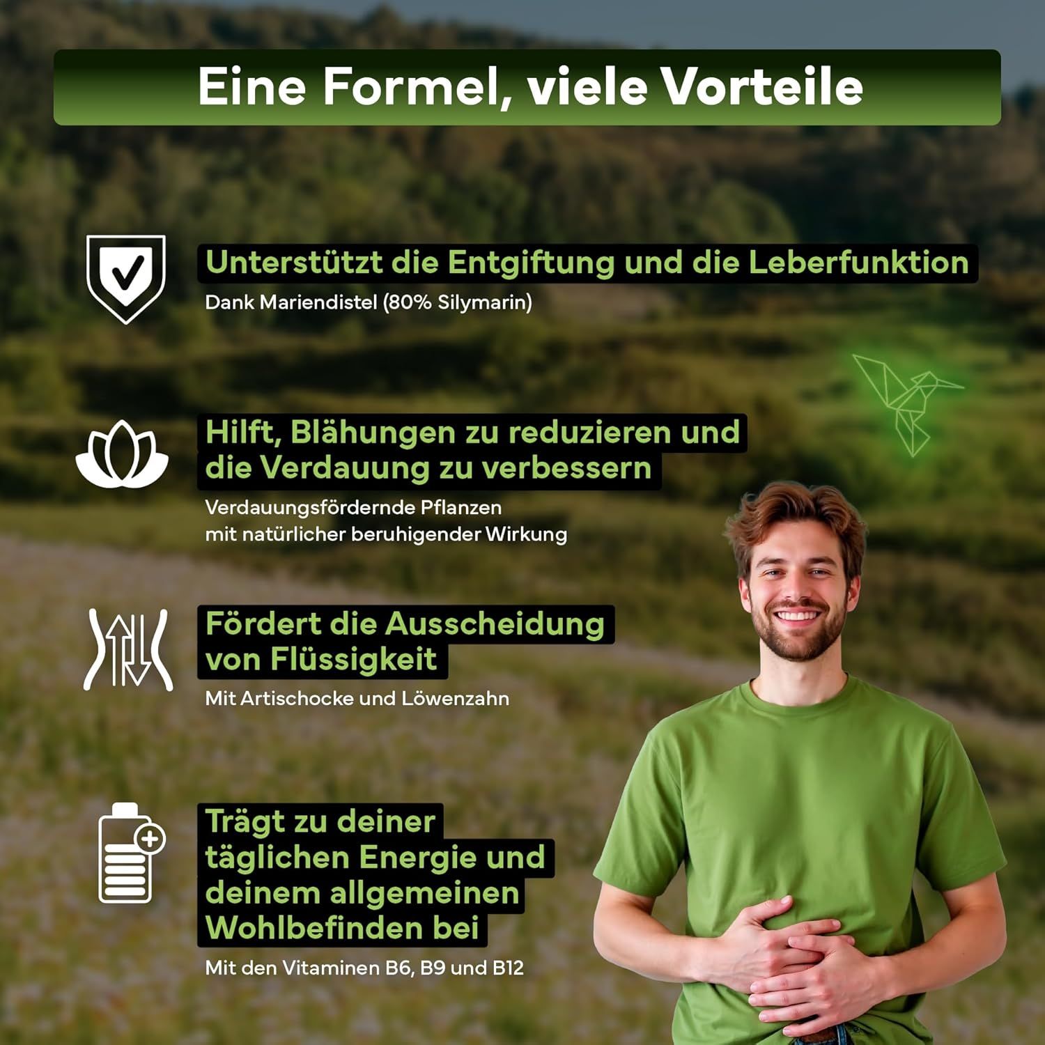 SEVENS NUTRITION Mariendistel, Artischocke & Löwenzahn Komplex Kapseln