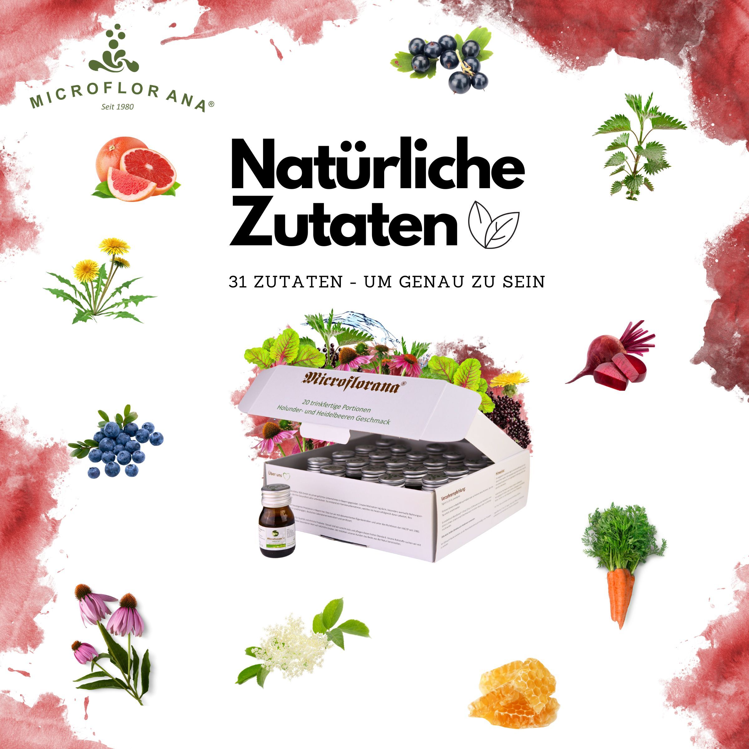 Produktabbildung mit Zutaten. Geöffnete Schachtel mit Fläschchen von Microflorana. Natürliche Zutaten.