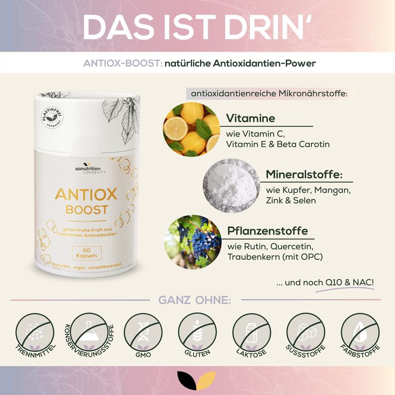 Produktabbildung mit Inhaltsstoffen. Dose "ANTIOX BOOST" neben Illustrationen von Vitaminen, Mineralien und Pflanzenstoffen. "Sanutrition"-Logo.