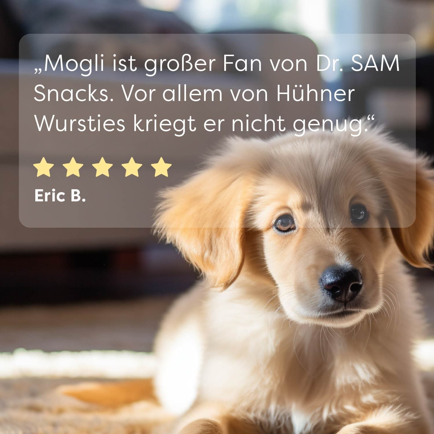 Goldener Retriever-Welpe auf Teppich. Text: Zitat eines Fans: „Mogli ist großer Fan von Dr. SAM Snacks.“ Sterne-Bewertung.