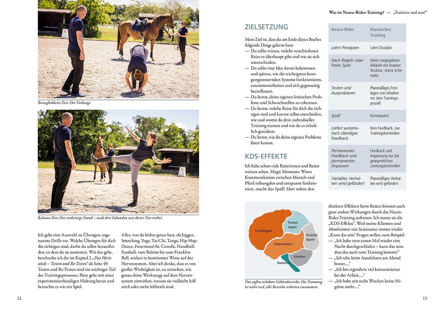 Neuroathletik für Reiter