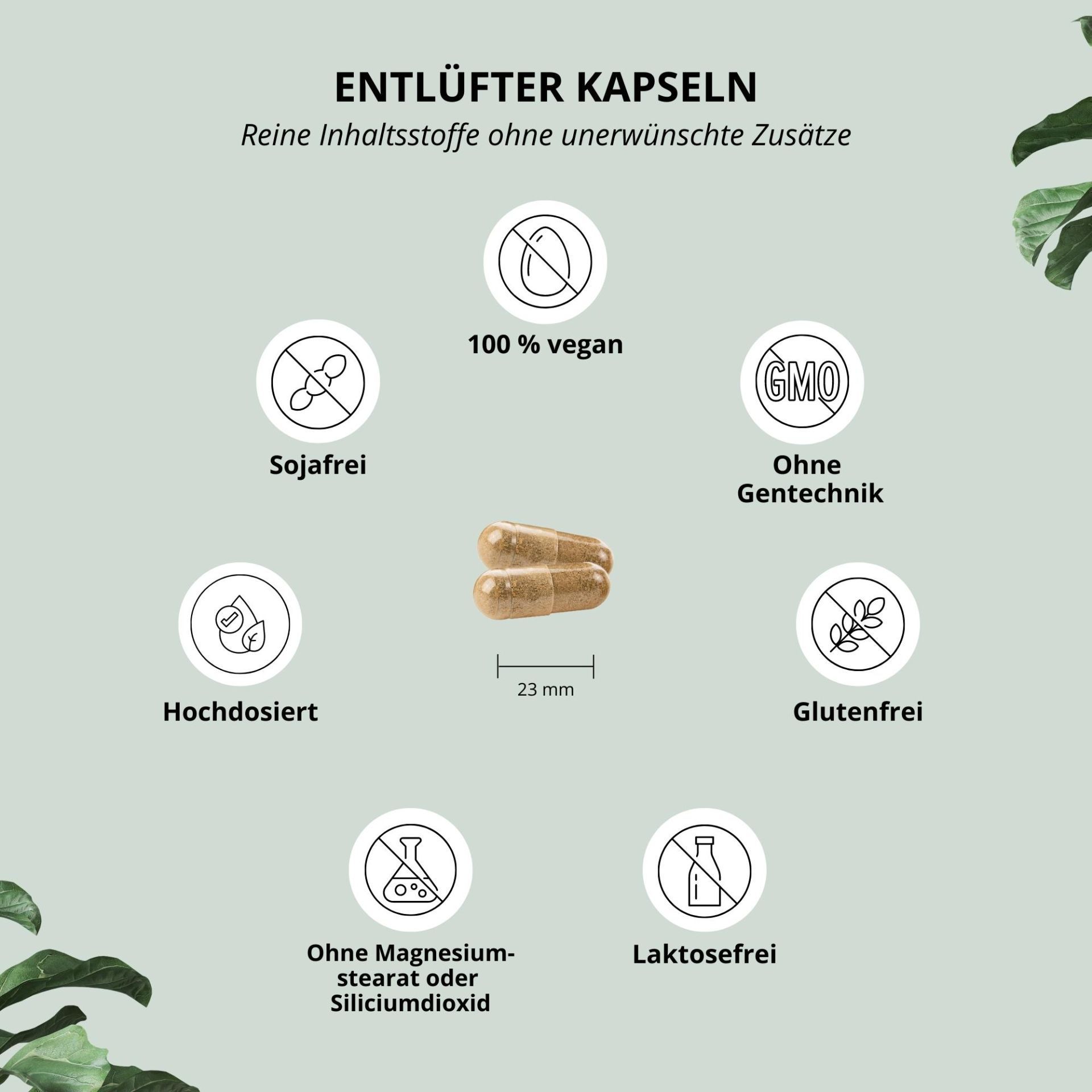 nutri+ Entlüfter Kapseln - beliebt bei Blähungen und Blähbauch