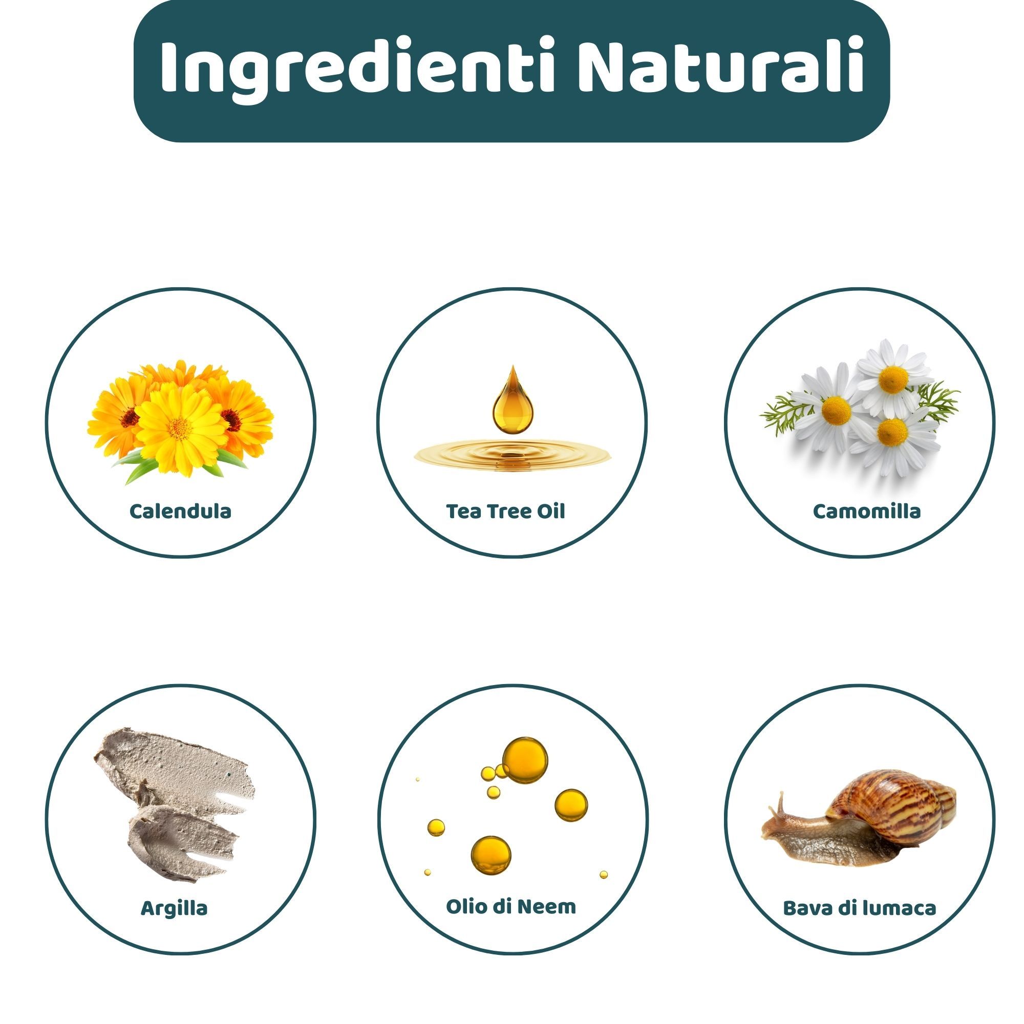 Kreisförmige Abbildungen von Inhaltsstoffen: Calendula, Teebaumöl, Kamille, Argilla, Neemöl, Schneckenschleim. Text: Natürliche Inhaltsstoffe.