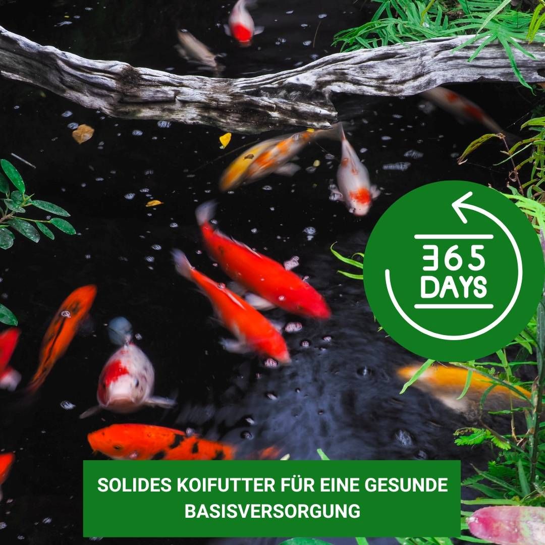 KENKOU Allround