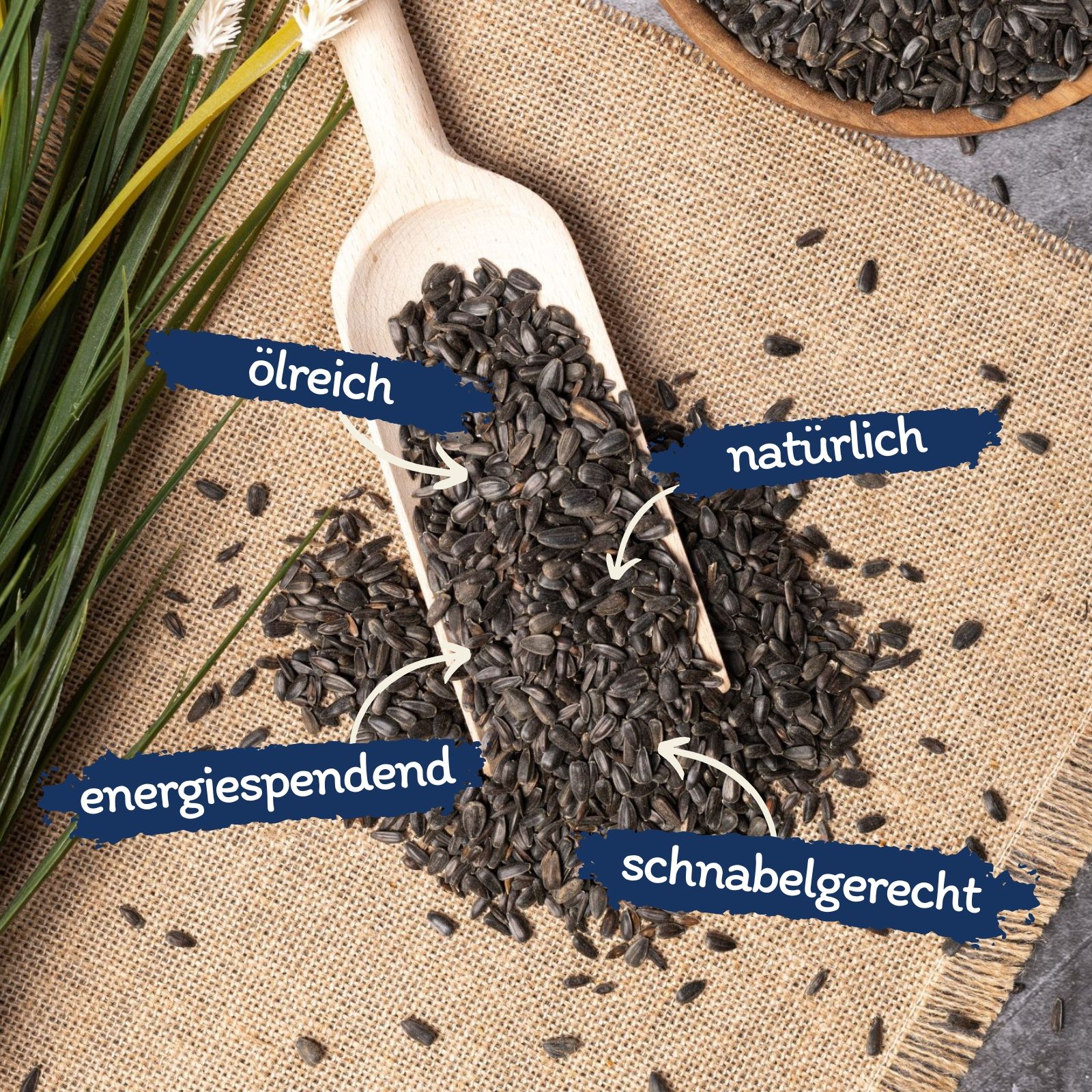 Schwarze Sonnenblumenkerne auf einem Holzlöffel, umgeben von weiteren Kernen auf Jute.