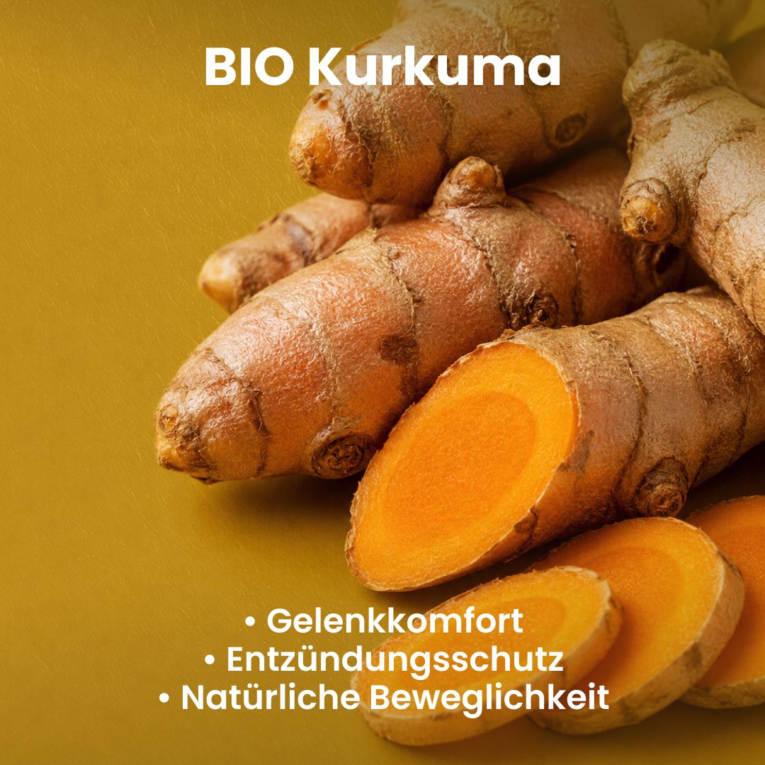 RAIBU Gelenk & Entzündungs Duo - Weihrauch + Kurkuma BIO