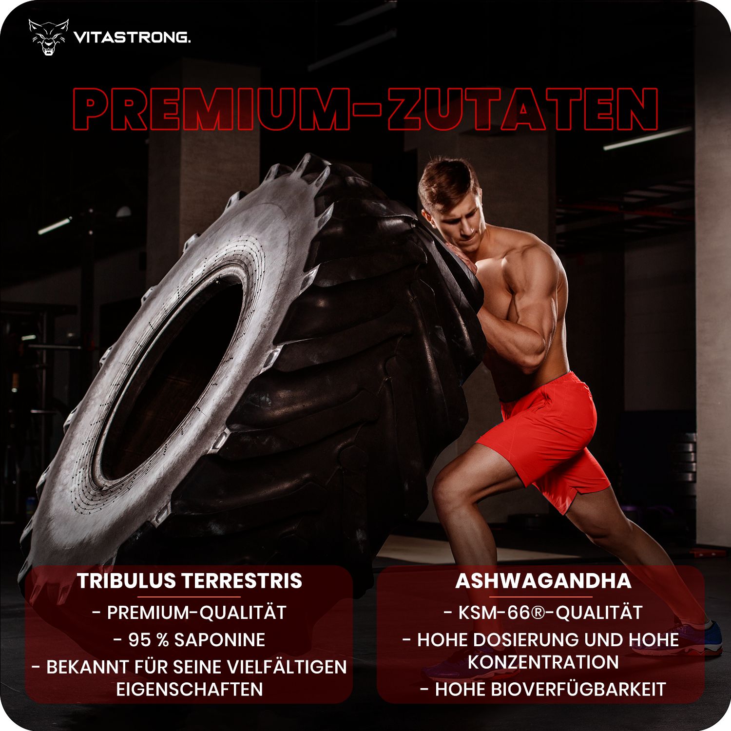 Mann lehnt sich an einen Reifen. Text: Premium-Zutaten. Tribulus Terrestris, Ashwagandha. Hohe Konzentration.