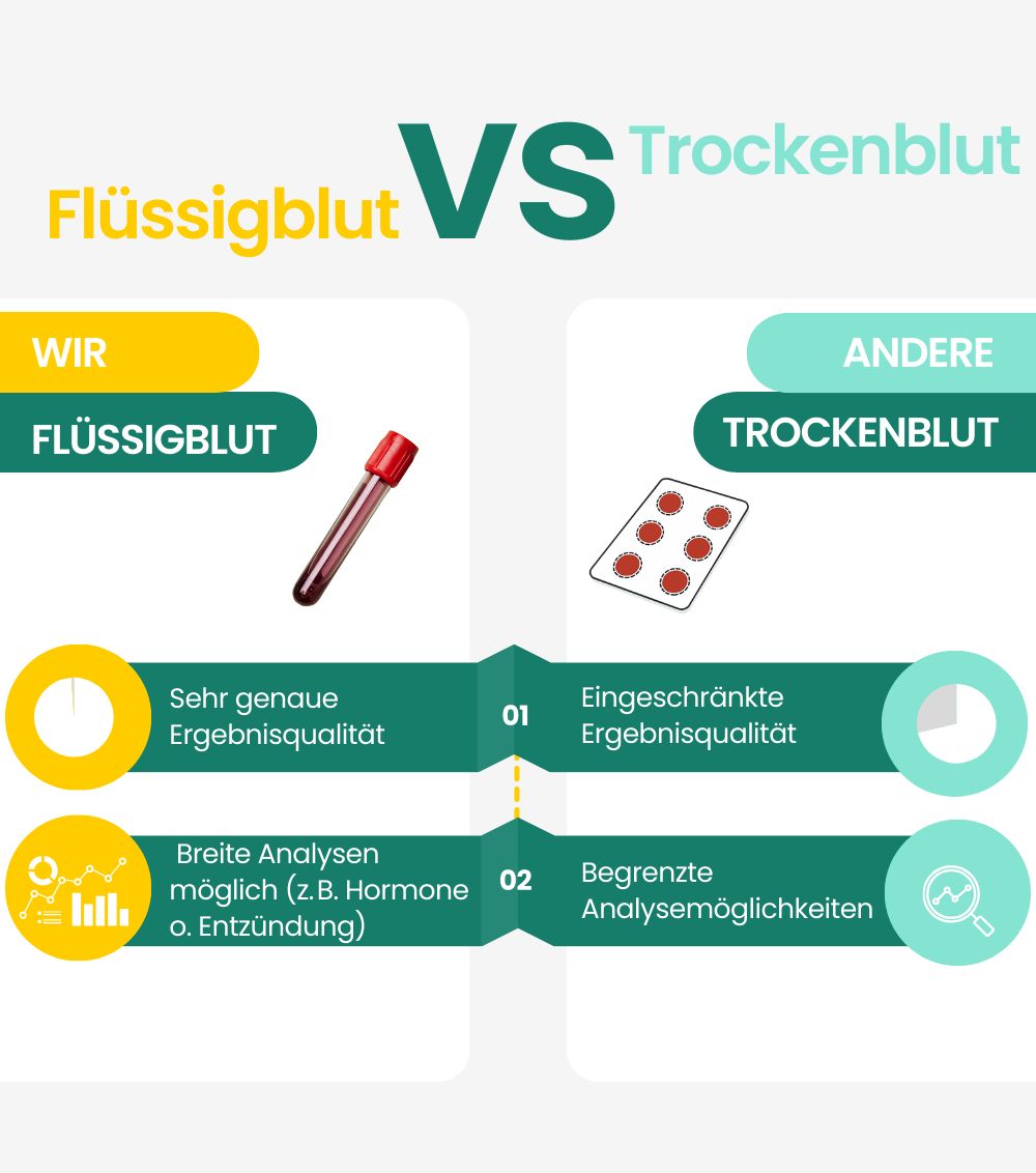 MetaLytic - Entzündungs- & Regenerationstest (CRP, Eisen, Magnesium)