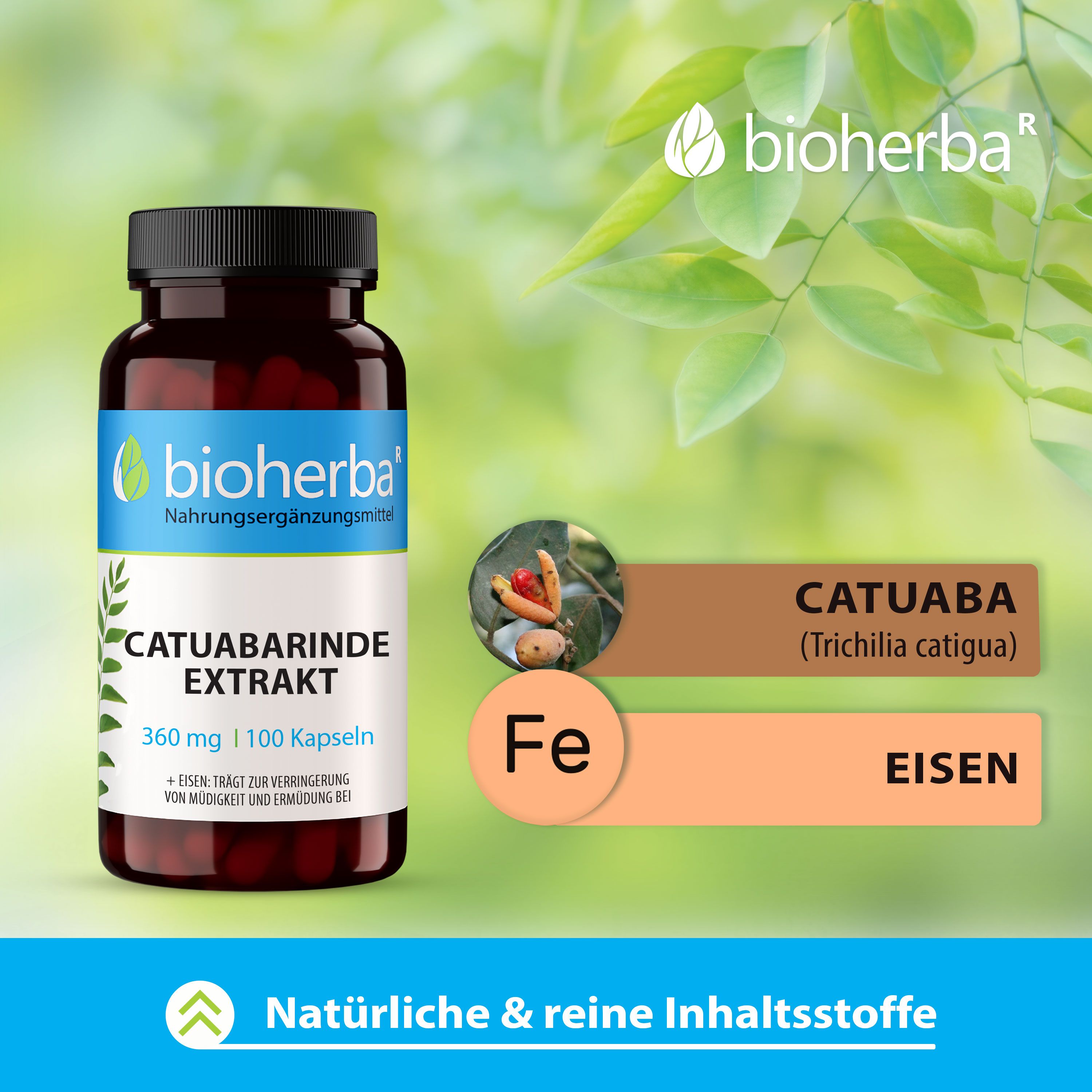 Bioherba Catuabarinde Extrakt Kapseln