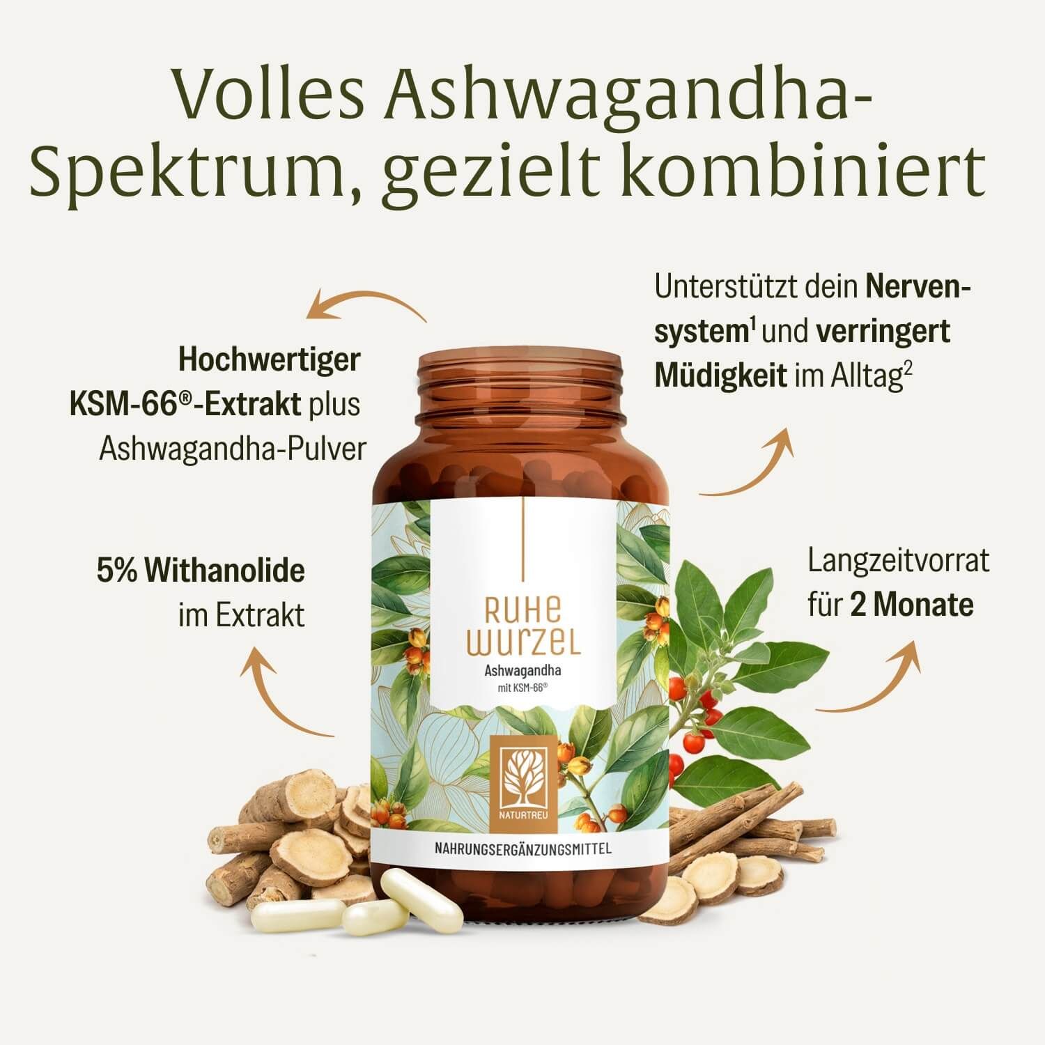 Flasche Ashwagandha KSM-66® mit Erläuterungen zu Inhaltsstoffen und Wirkung, umgeben von Wurzeln und Beeren.